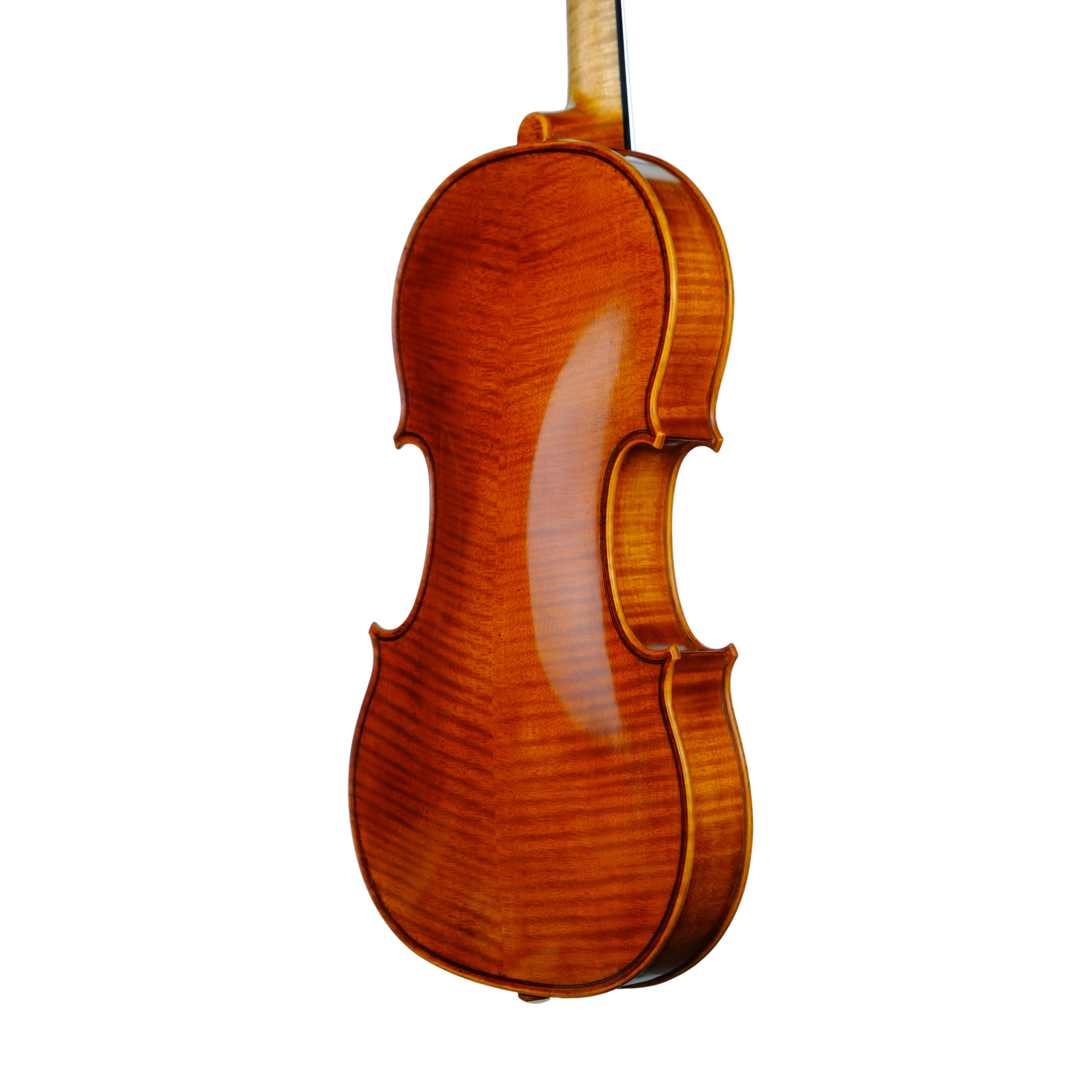 Violin - Enrico Bertoncini, Cremona 2023
