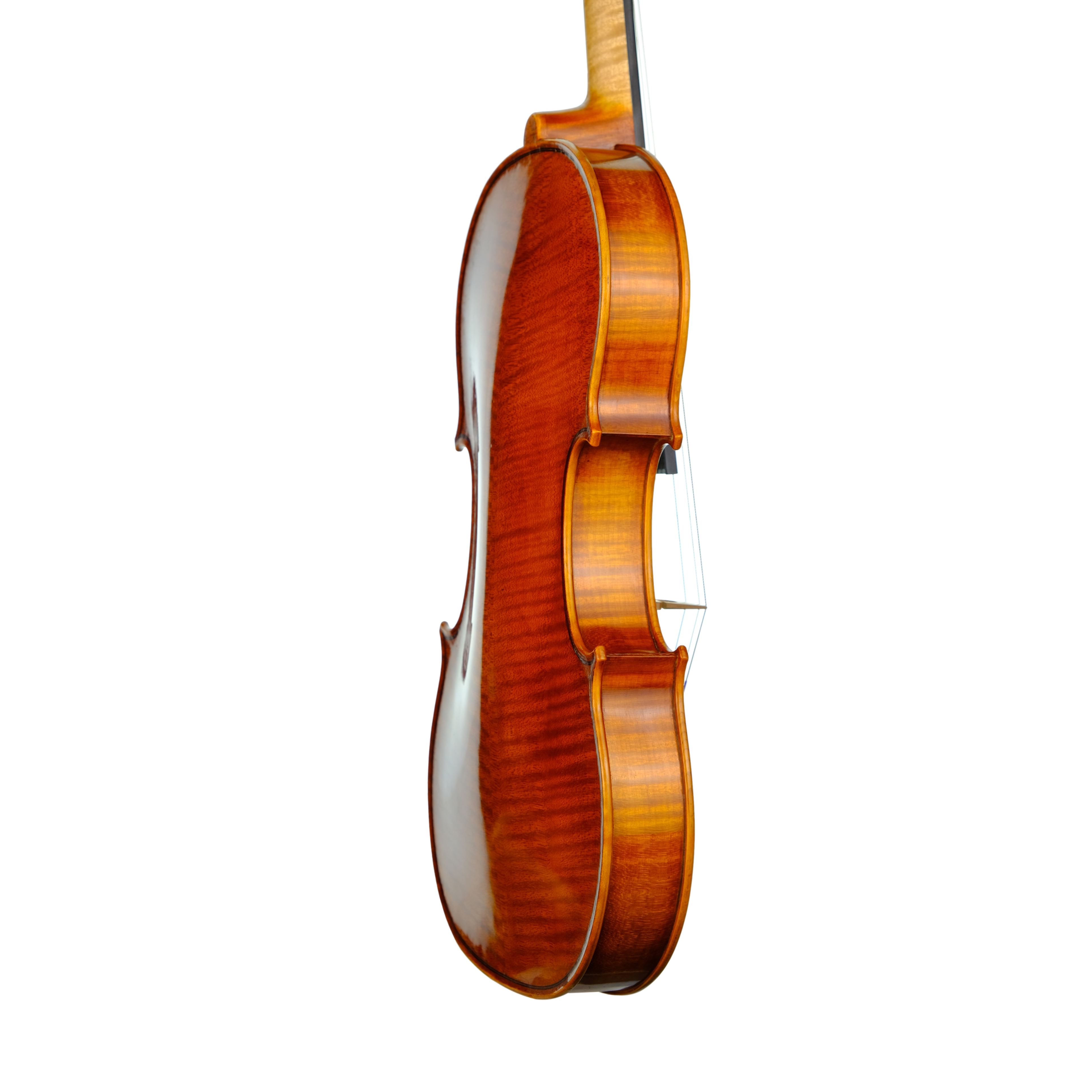 Violin - Enrico Bertoncini, Cremona 2023
