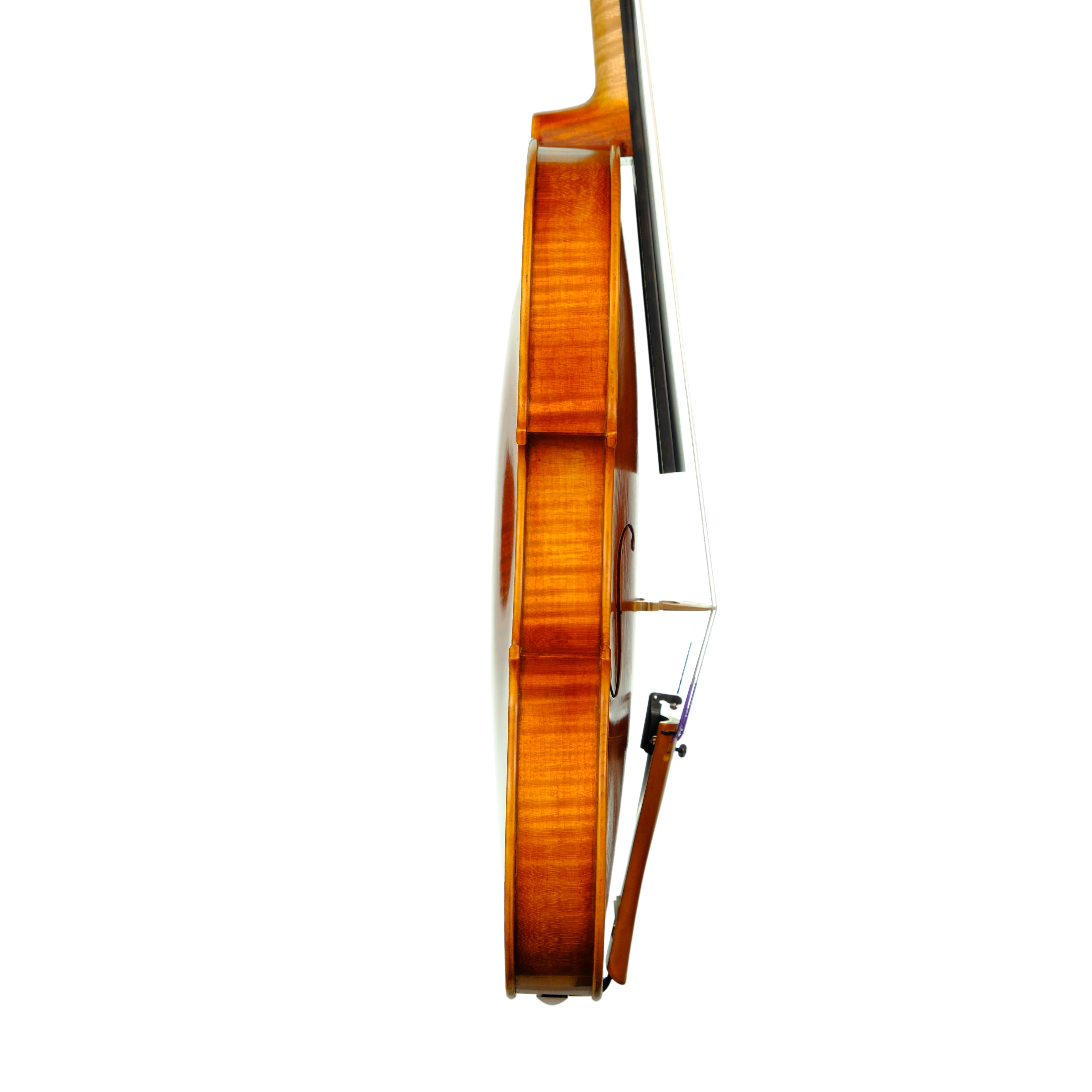 Violin - Enrico Bertoncini, Cremona 2023