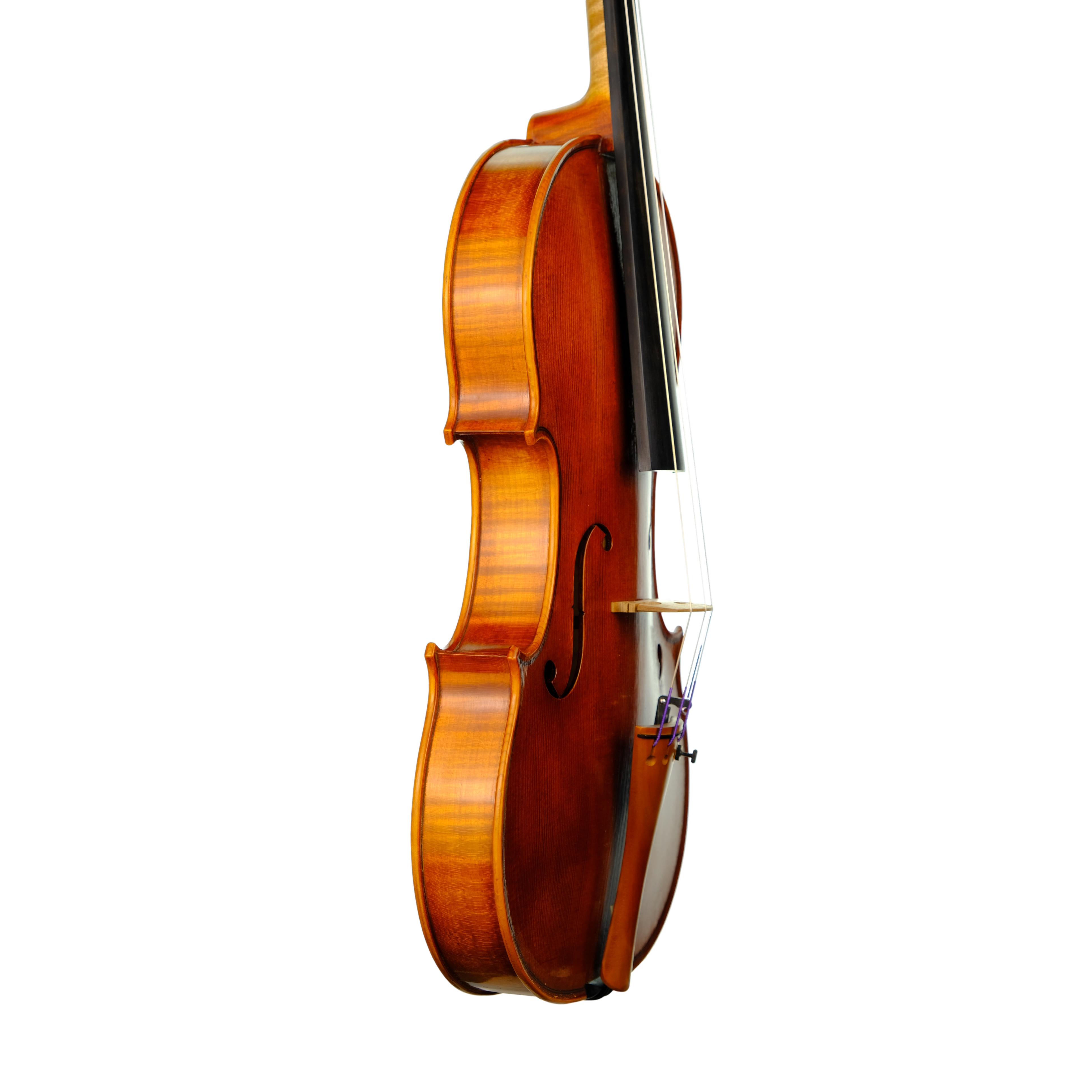Violin - Enrico Bertoncini, Cremona 2023