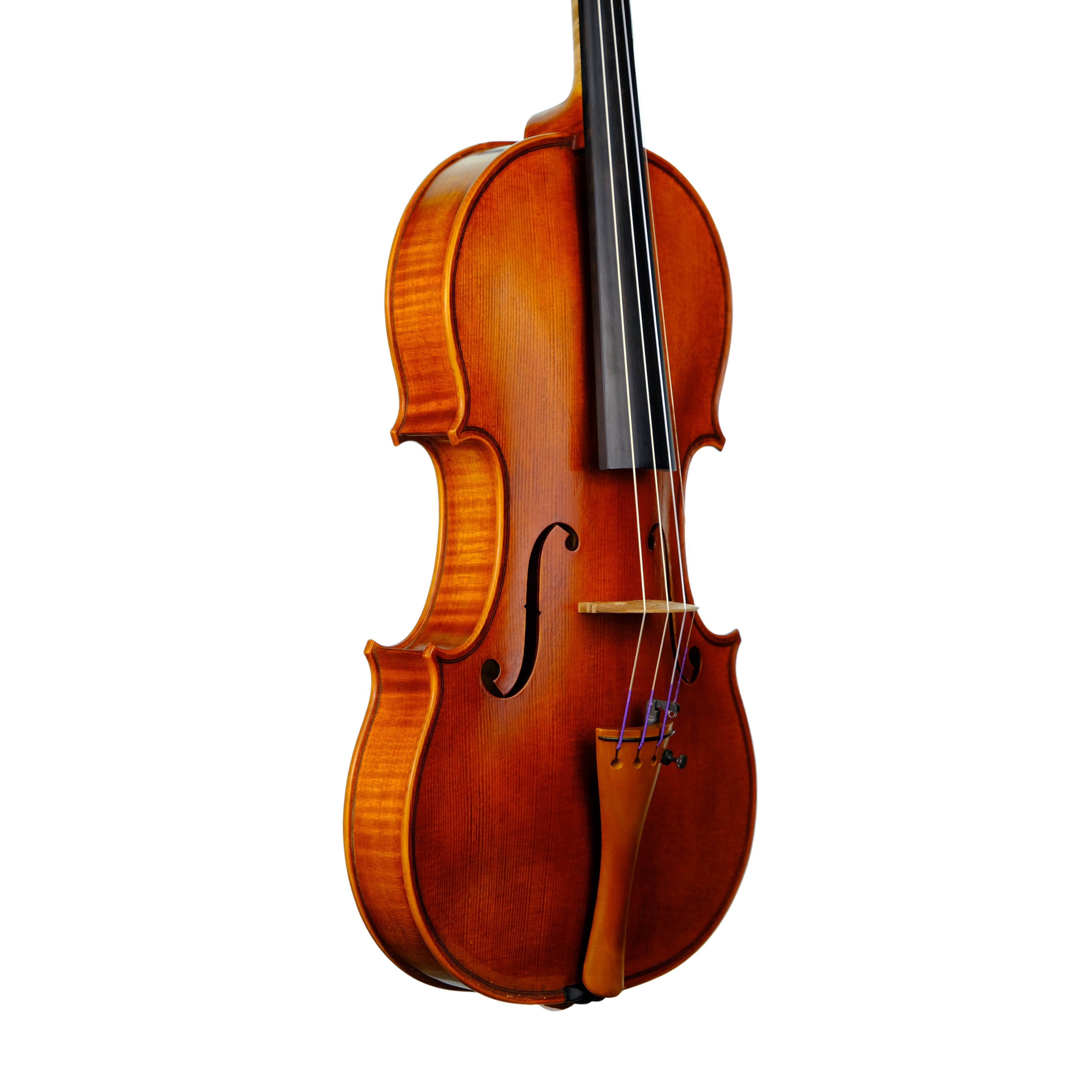 Violin - Enrico Bertoncini, Cremona 2023