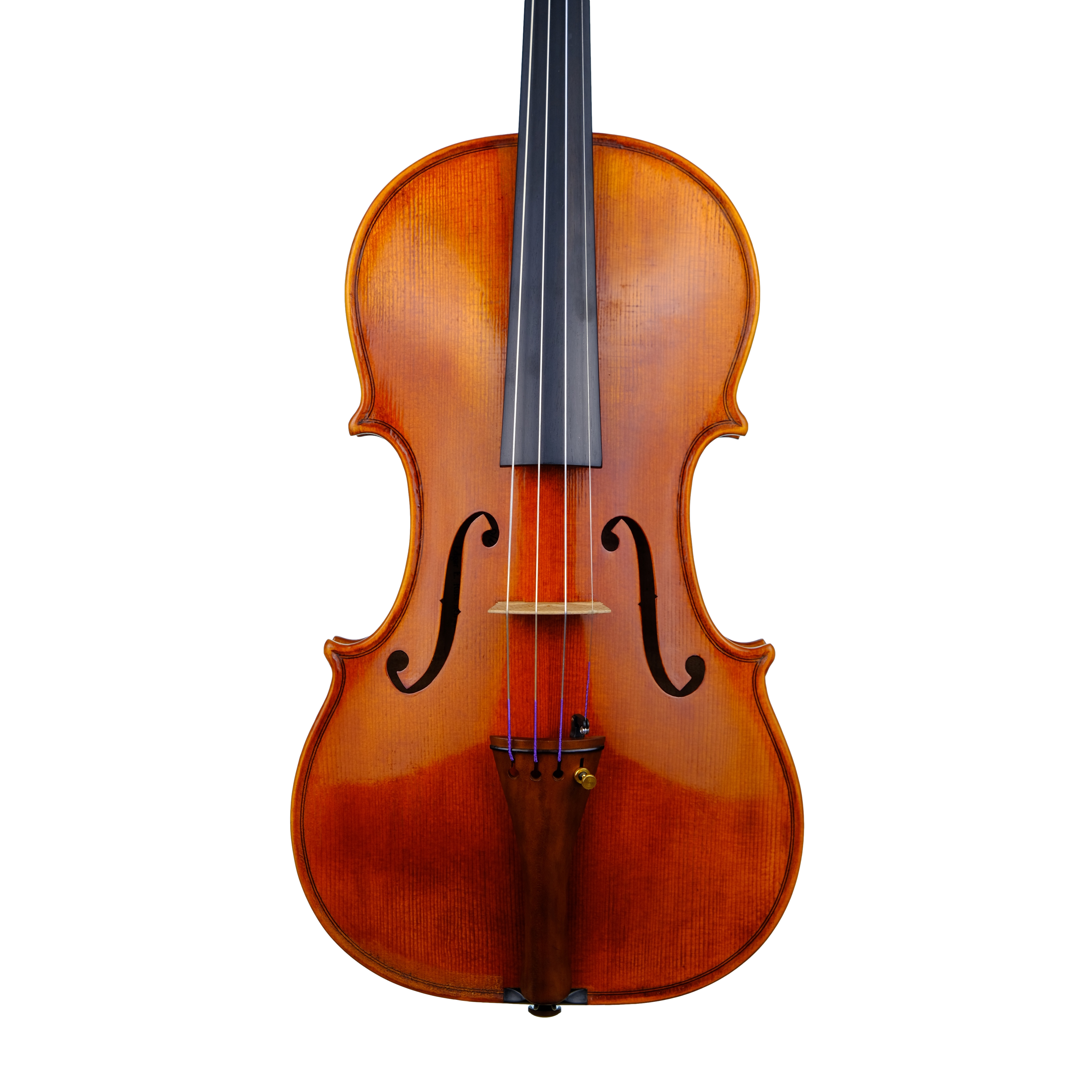 Violin - Linea Macchi, Guarneri "Lord Wilton" 2023