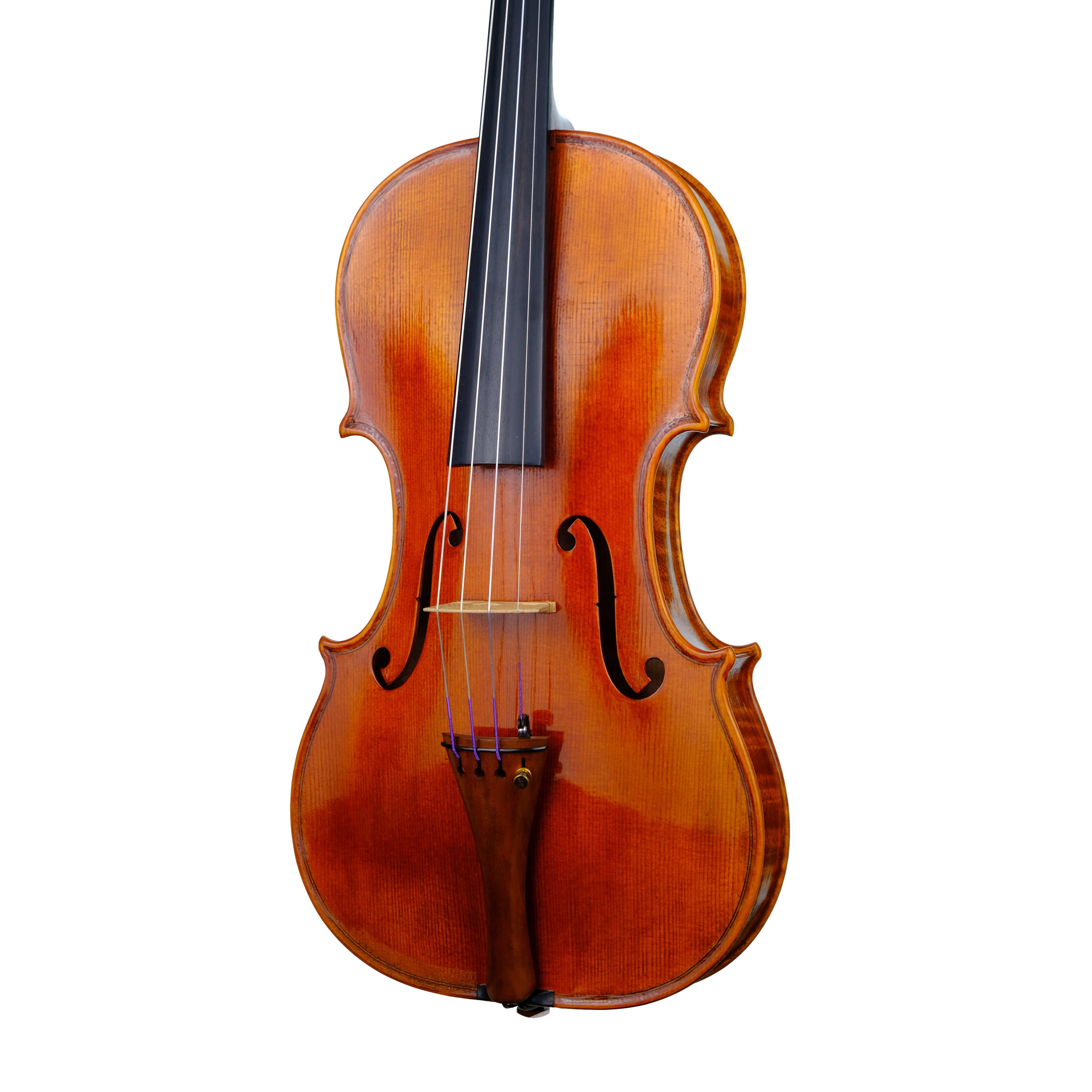 Violin - Linea Macchi, Guarneri "Lord Wilton" 2023