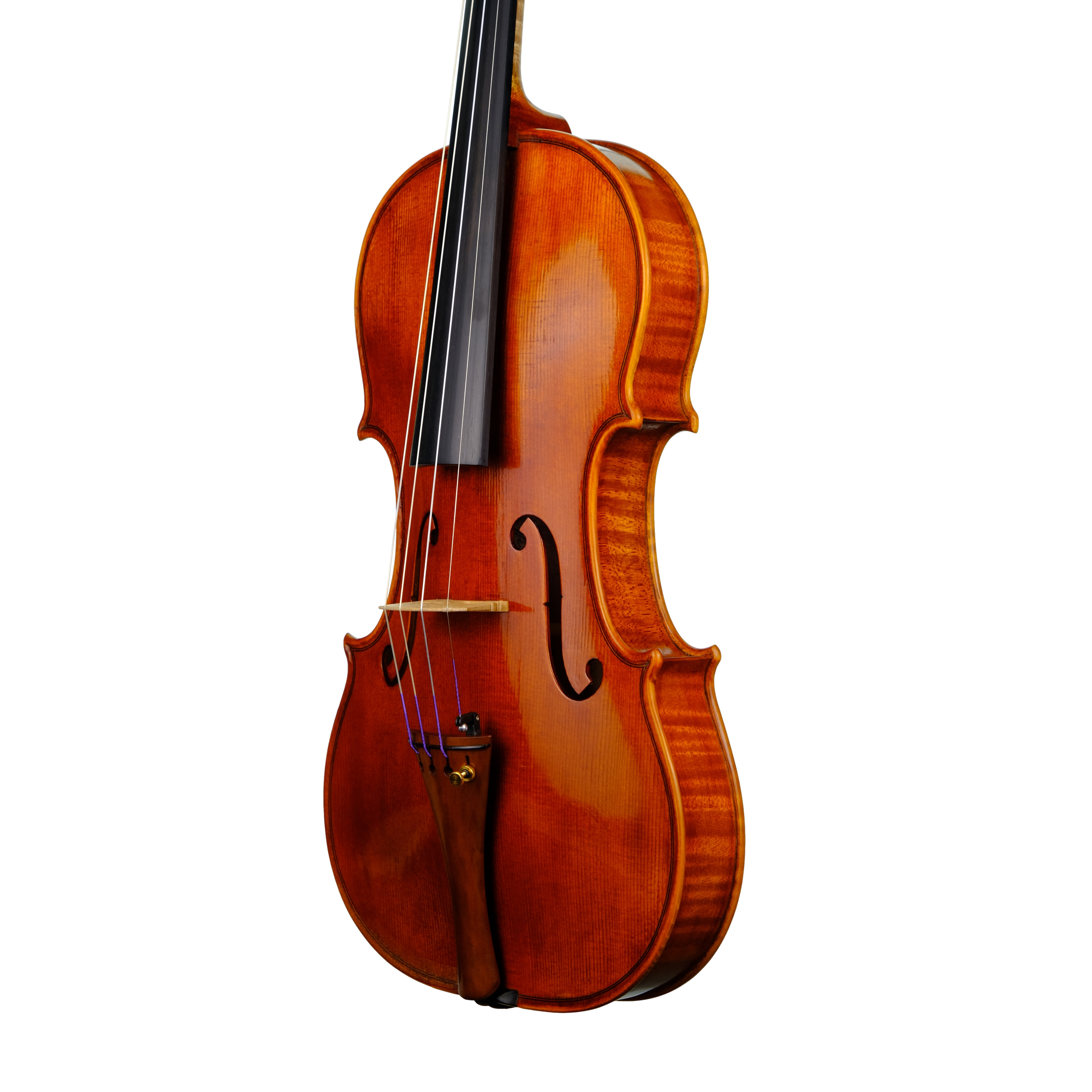 Violin - Linea Macchi, Guarneri "Lord Wilton" 2023