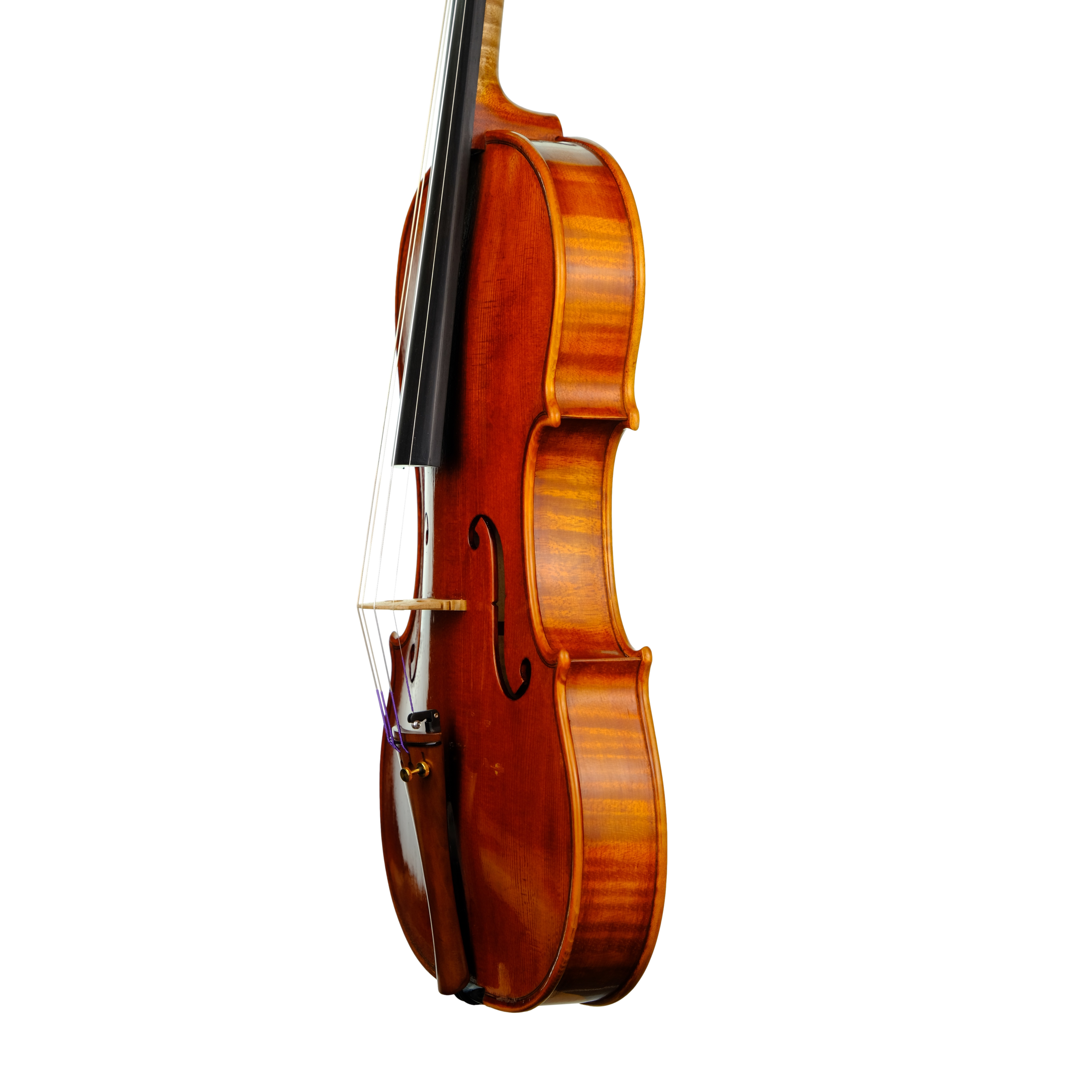 Violin - Linea Macchi, Guarneri "Lord Wilton" 2023