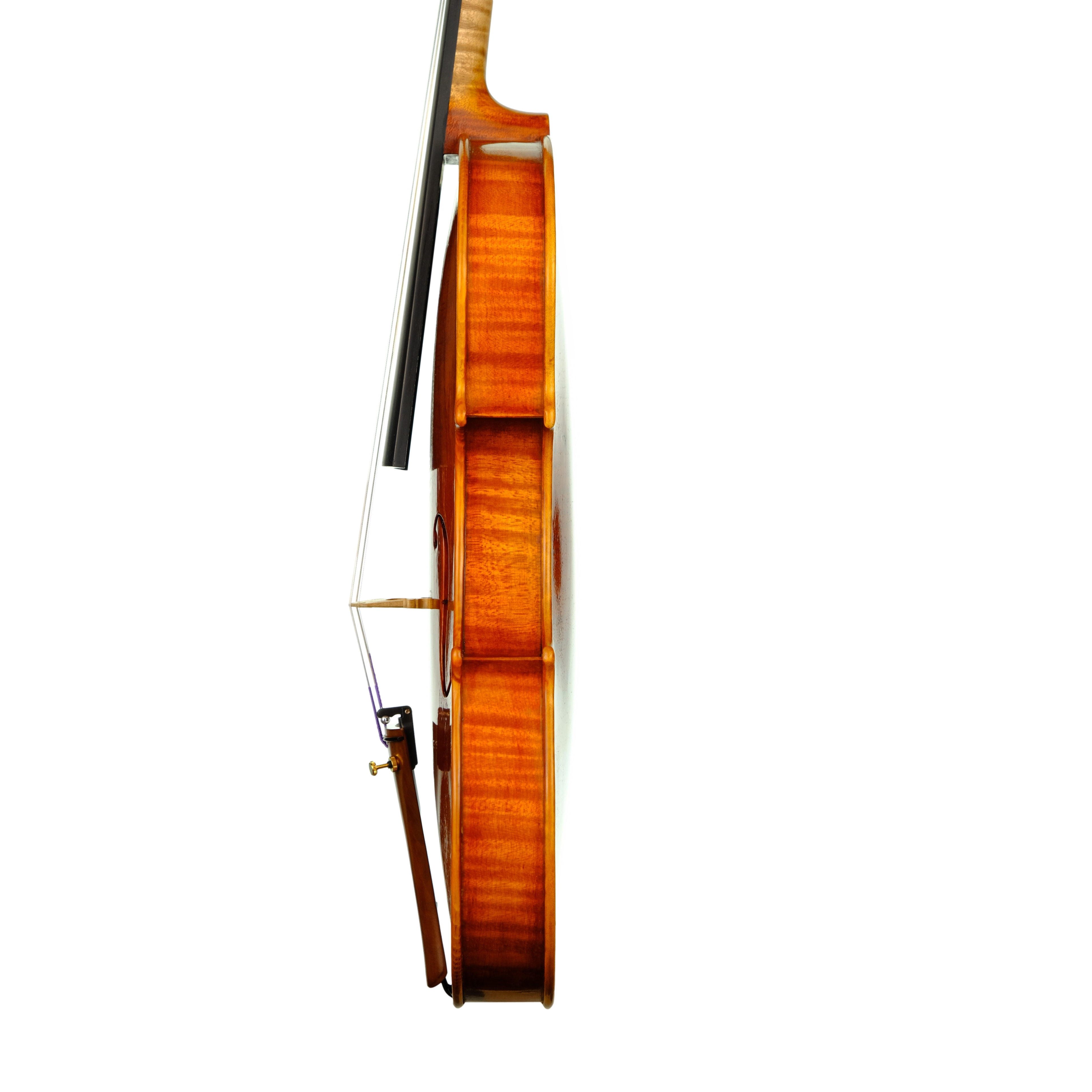 Violin - Linea Macchi, Guarneri "Lord Wilton" 2023