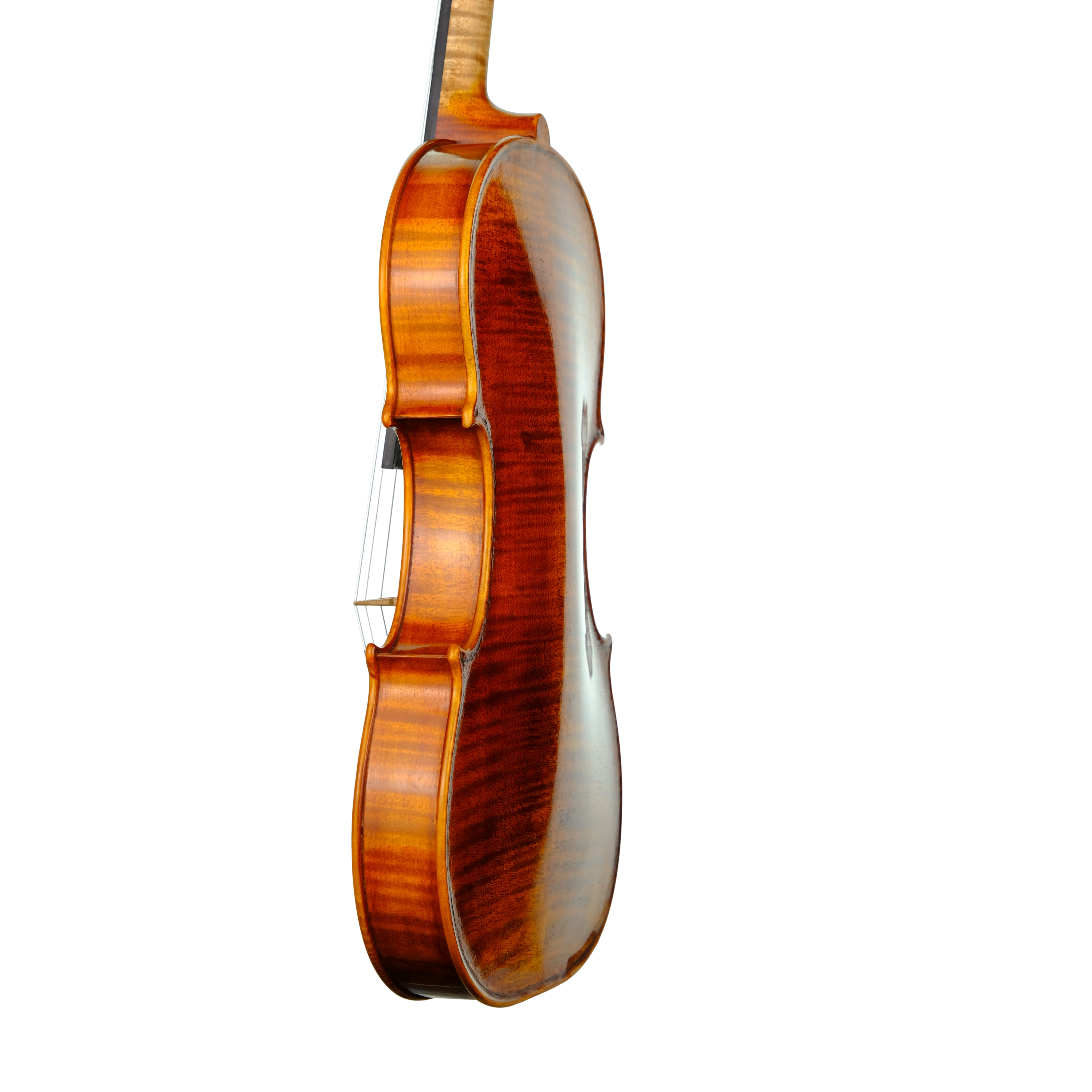 Violin - Linea Macchi, Guarneri "Lord Wilton" 2023