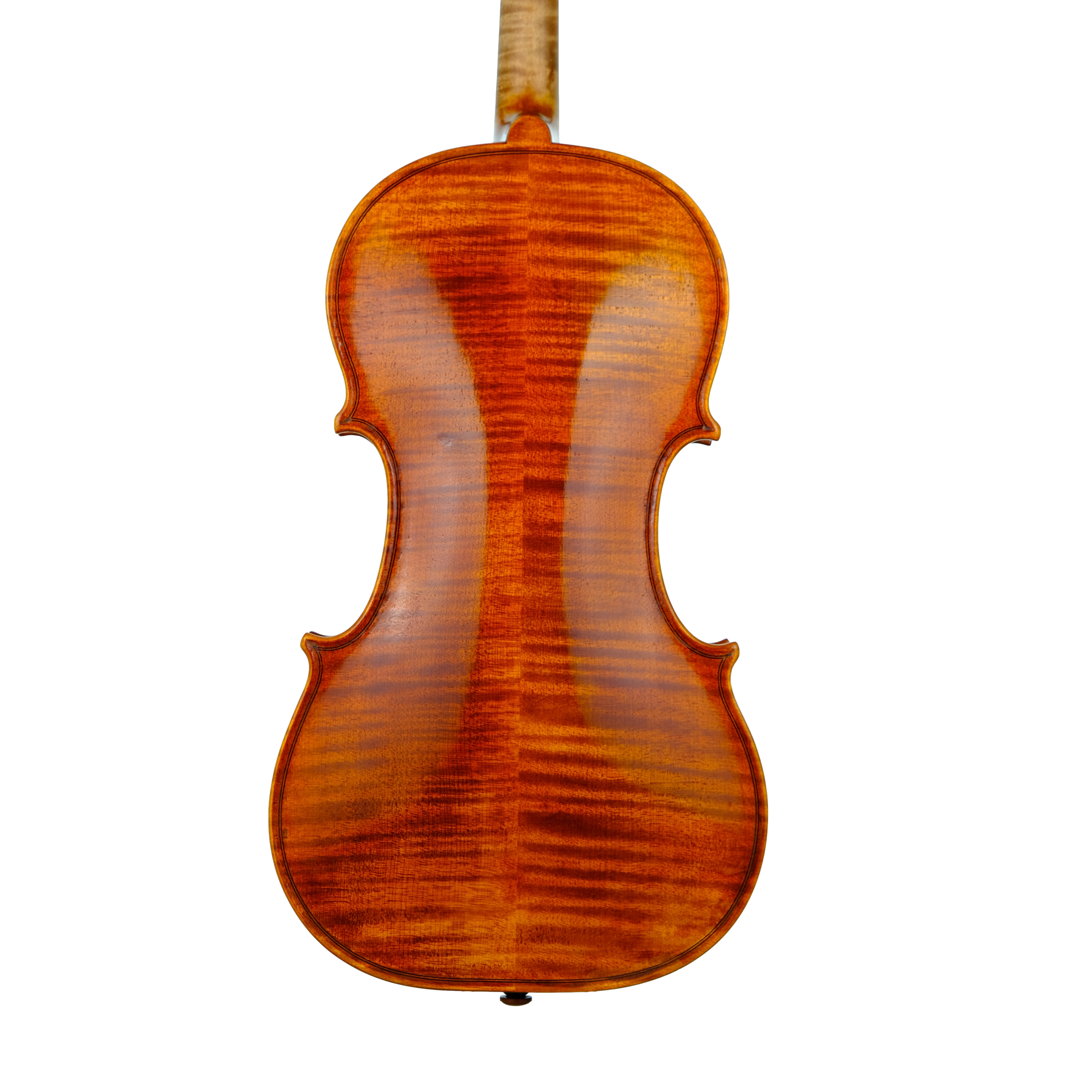 Violin - Linea Macchi, Guarneri "Lord Wilton" 2023