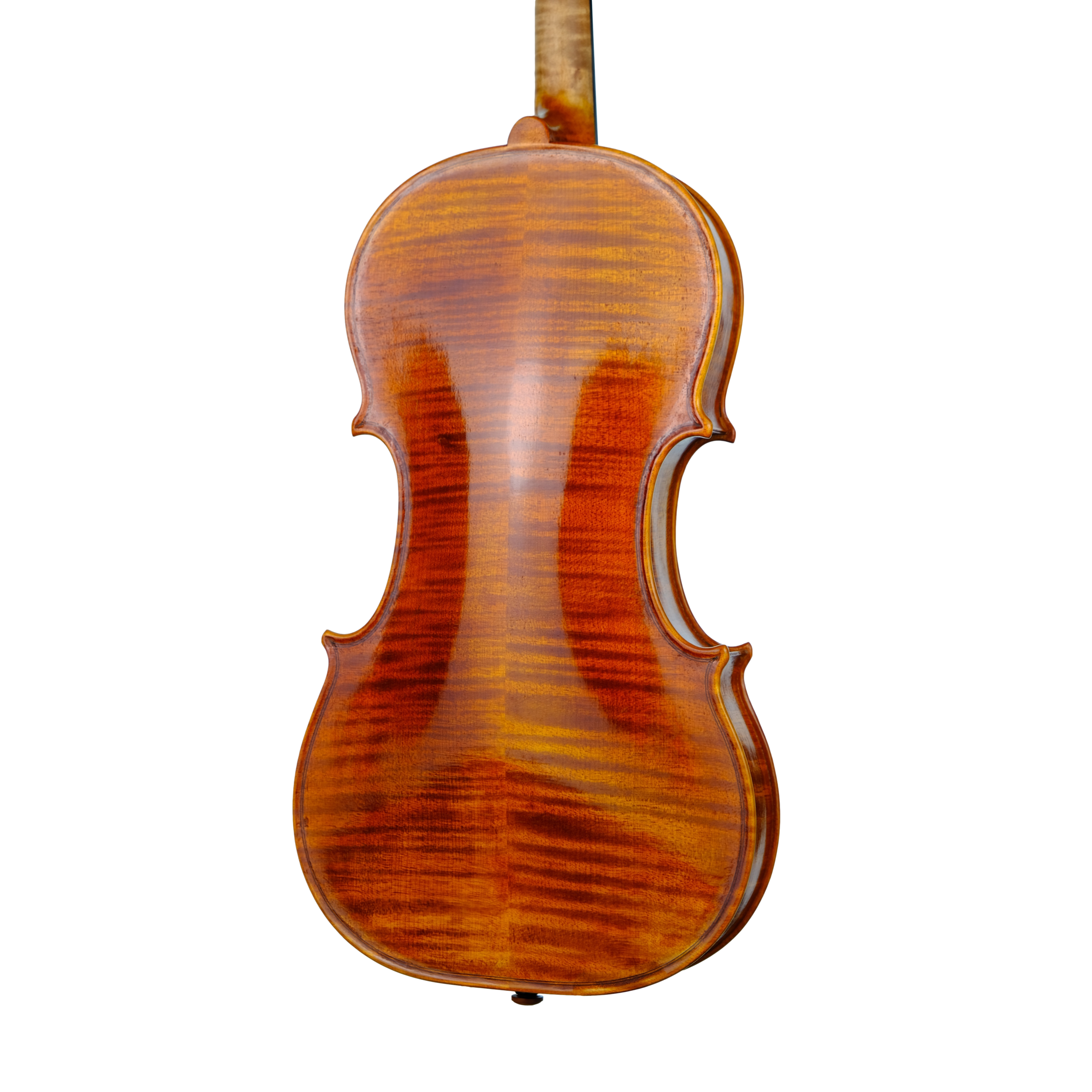 Violin - Linea Macchi, Guarneri "Lord Wilton" 2023