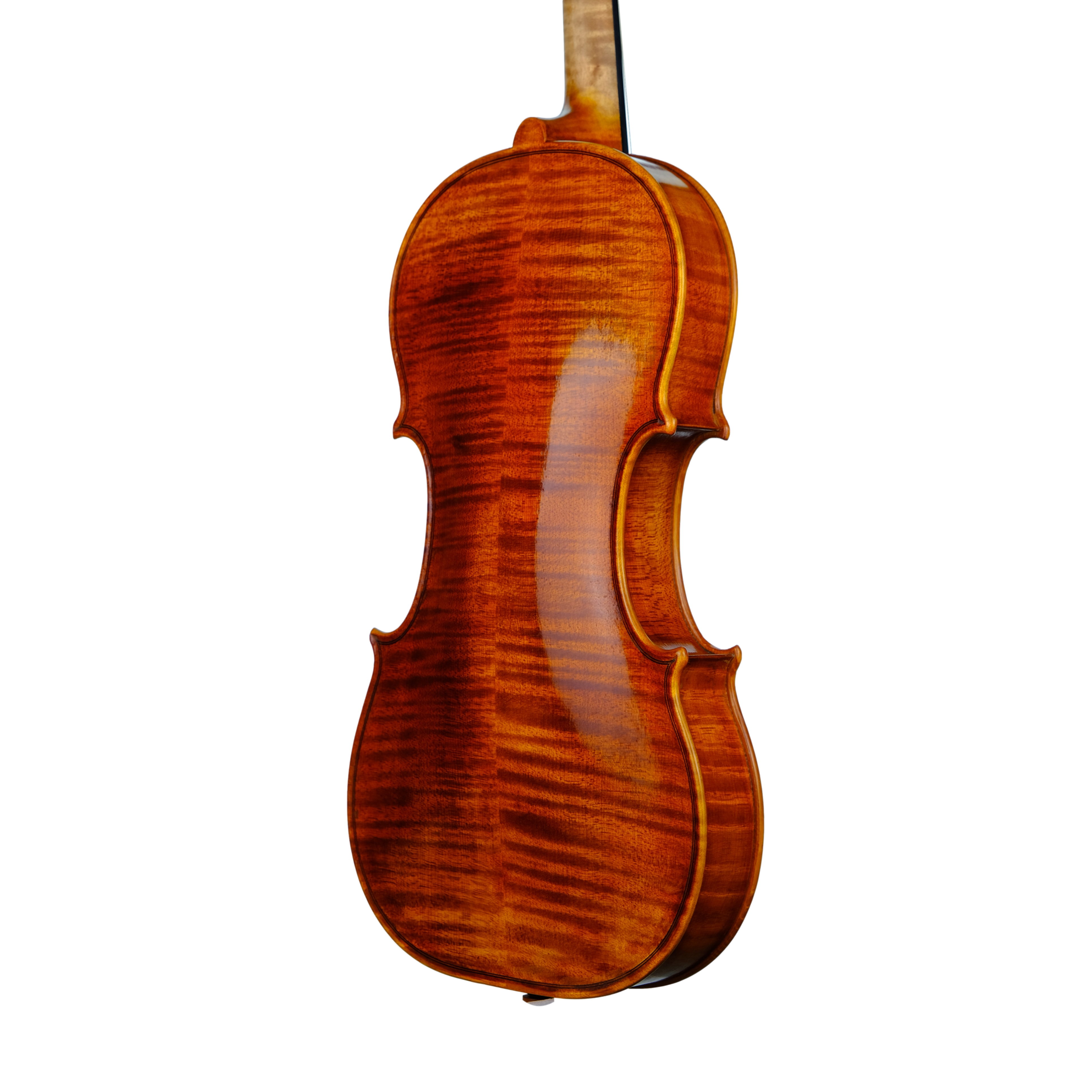 Violin - Linea Macchi, Guarneri "Lord Wilton" 2023