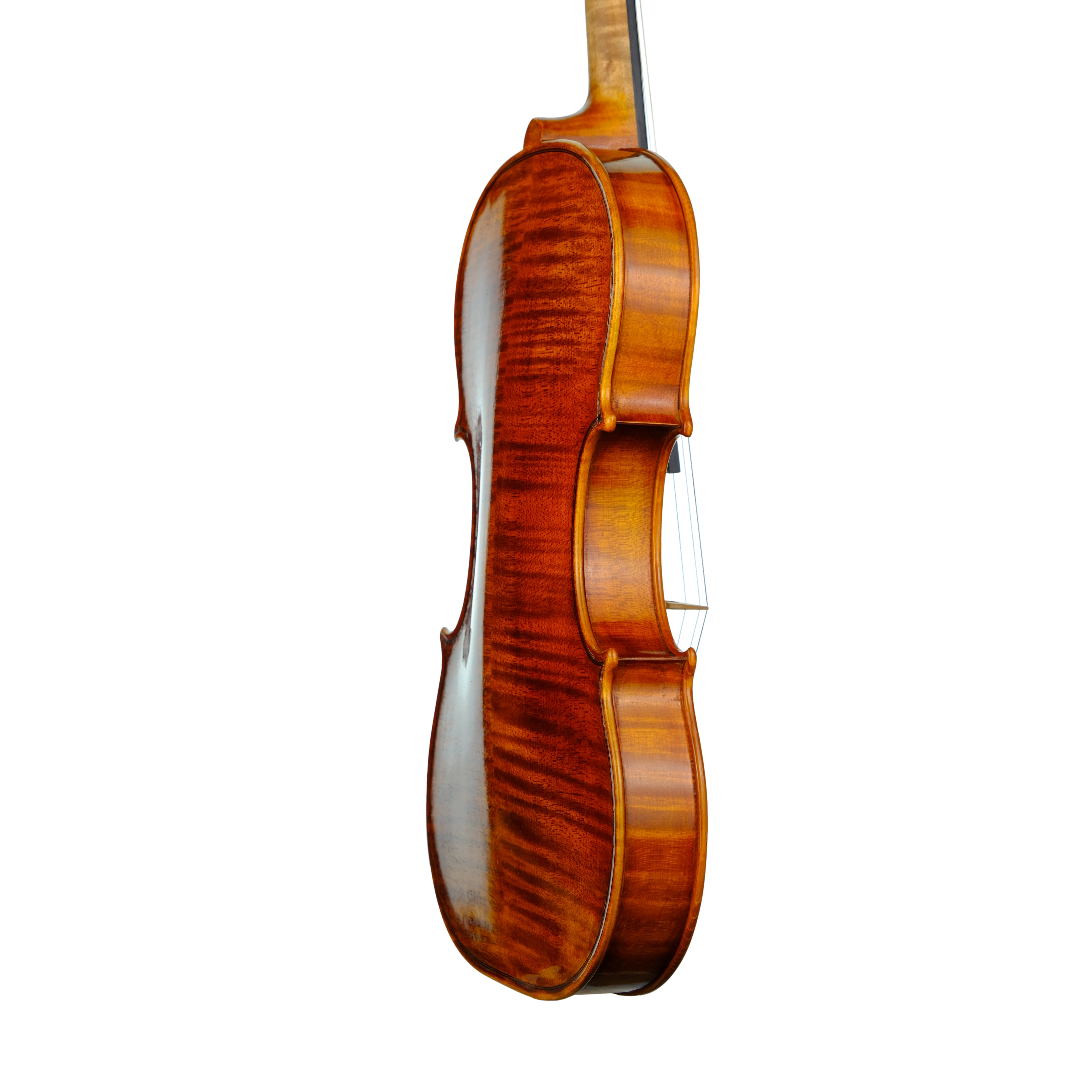 Violin - Linea Macchi, Guarneri "Lord Wilton" 2023