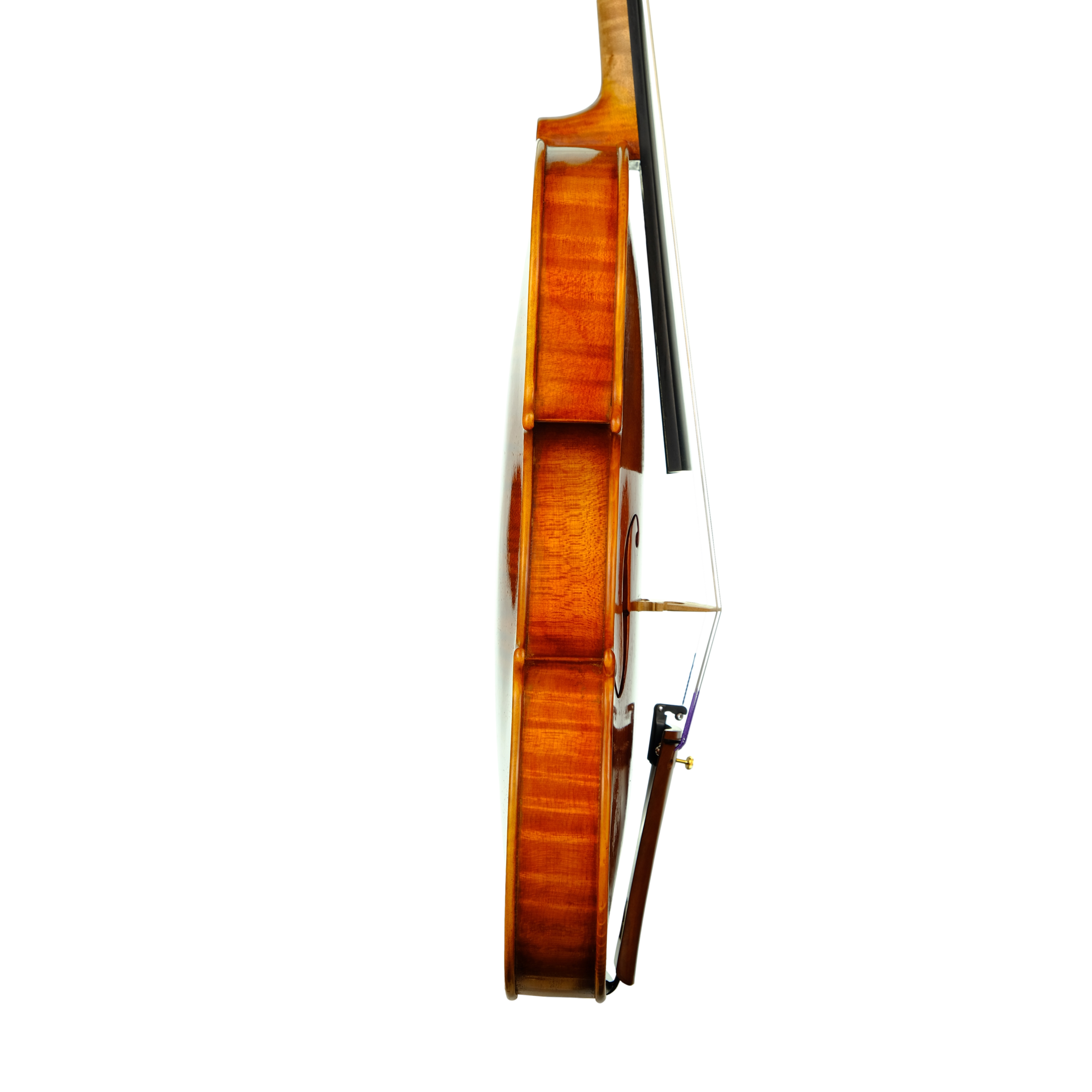 Violin - Linea Macchi, Guarneri "Lord Wilton" 2023