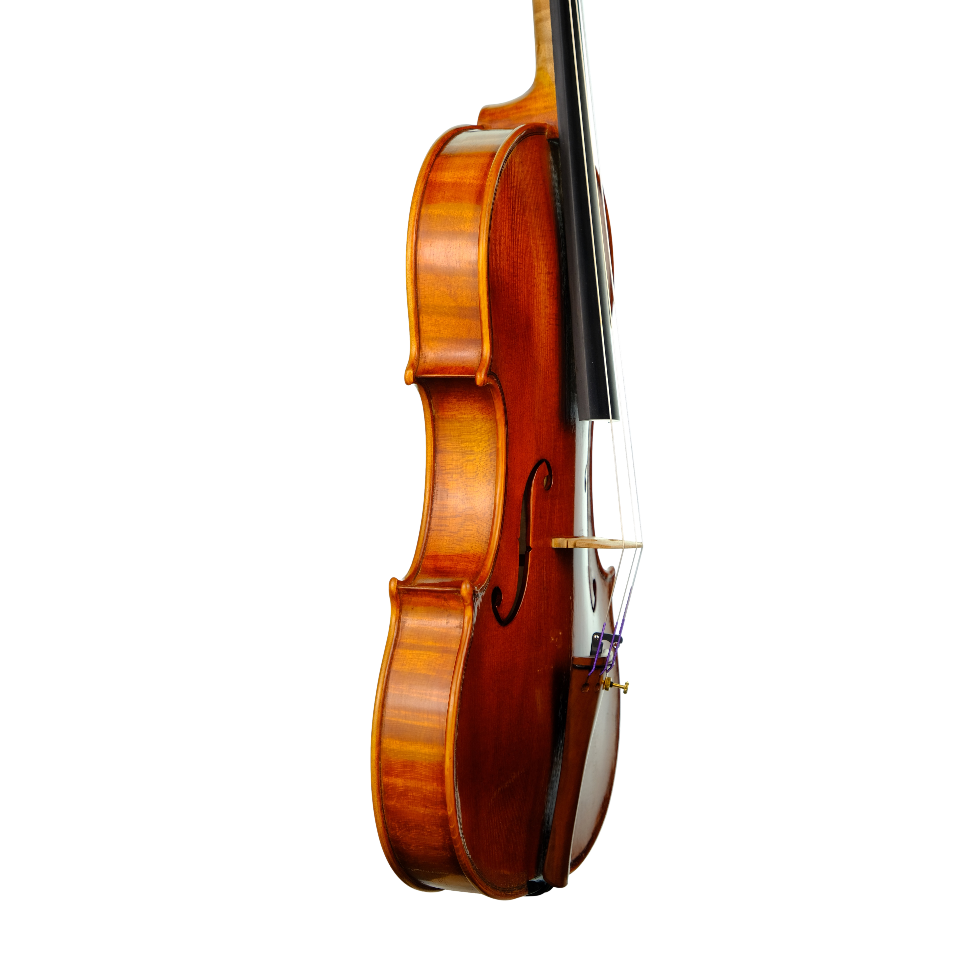 Violin - Linea Macchi, Guarneri "Lord Wilton" 2023