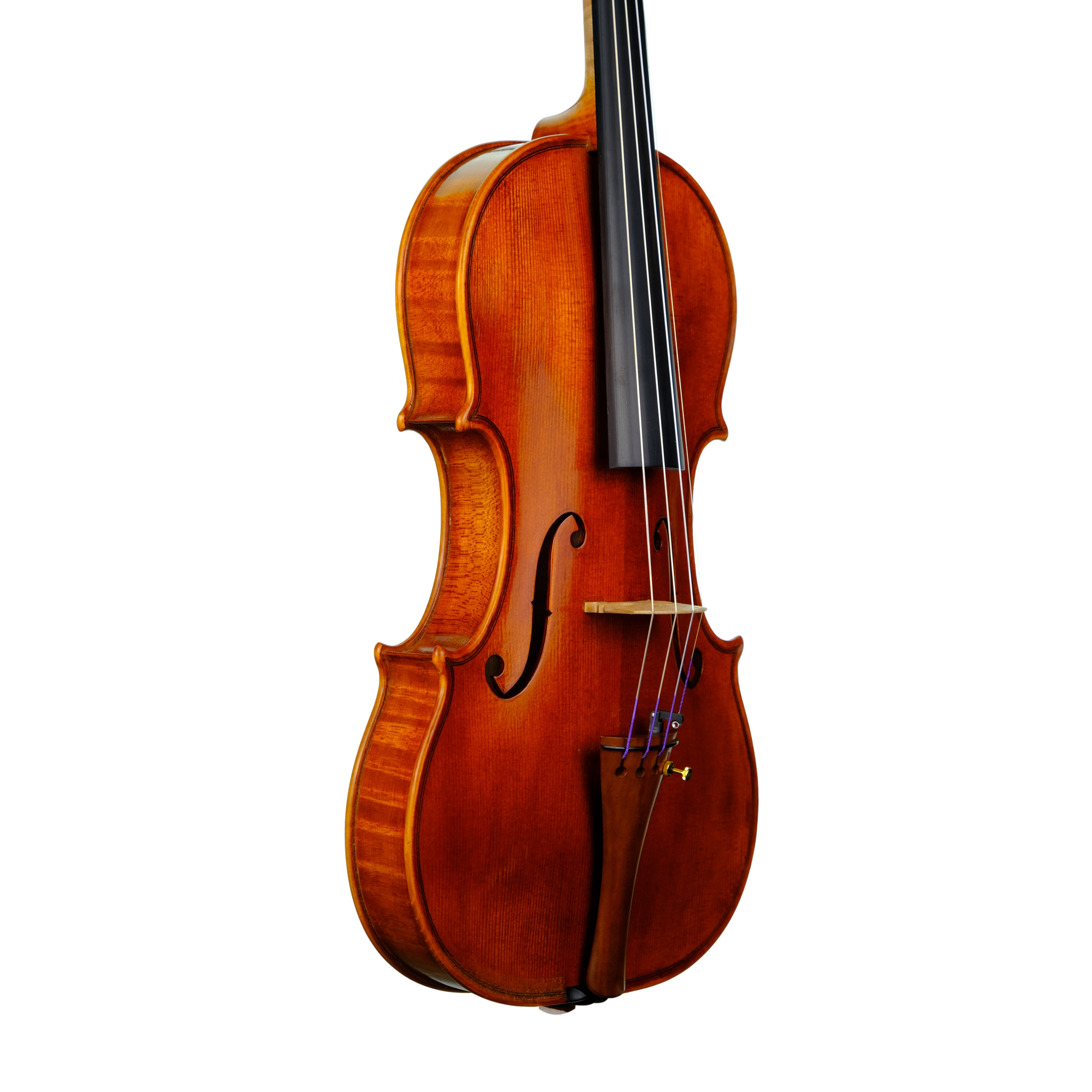 Violin - Linea Macchi, Guarneri "Lord Wilton" 2023