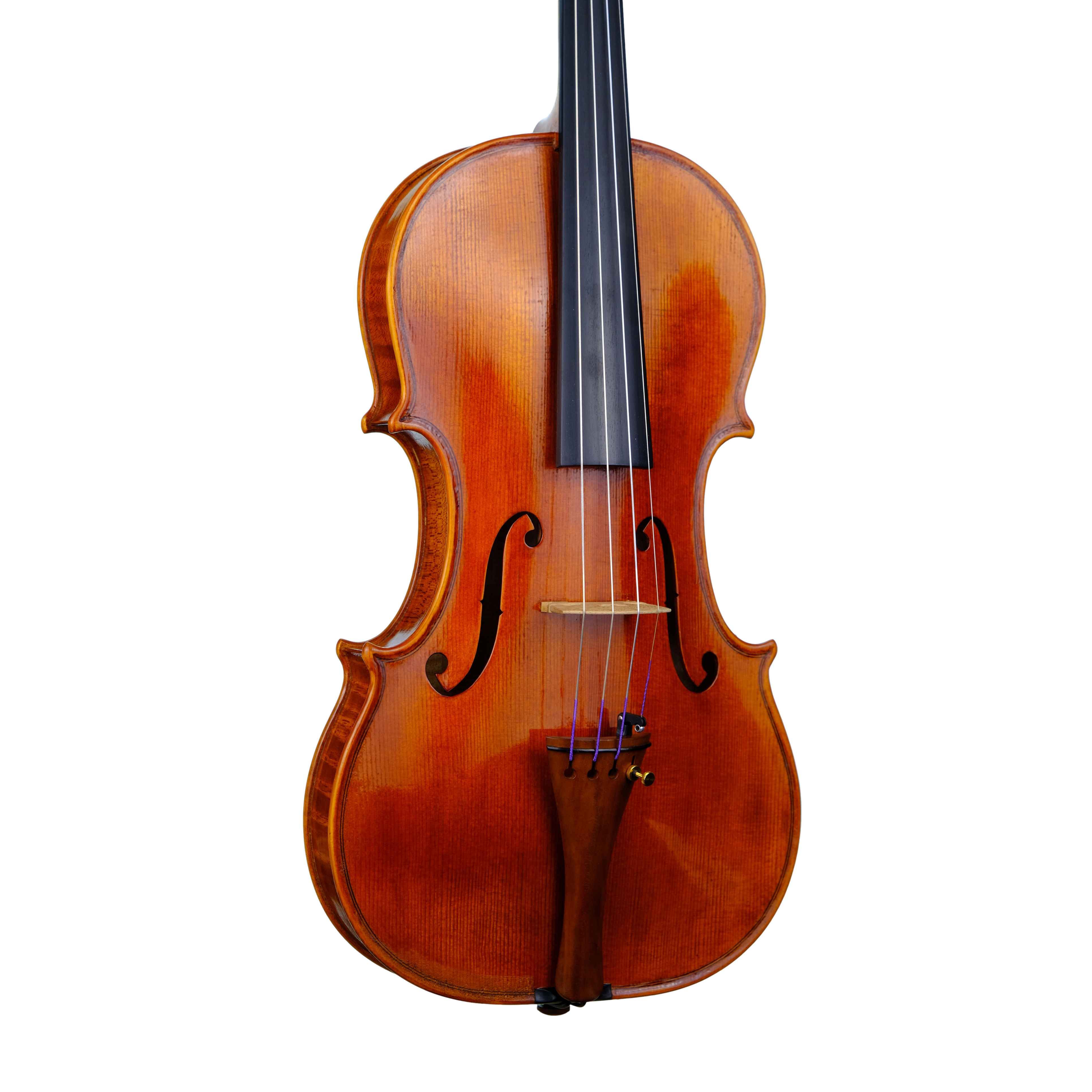 Violin - Linea Macchi, Guarneri "Lord Wilton" 2023