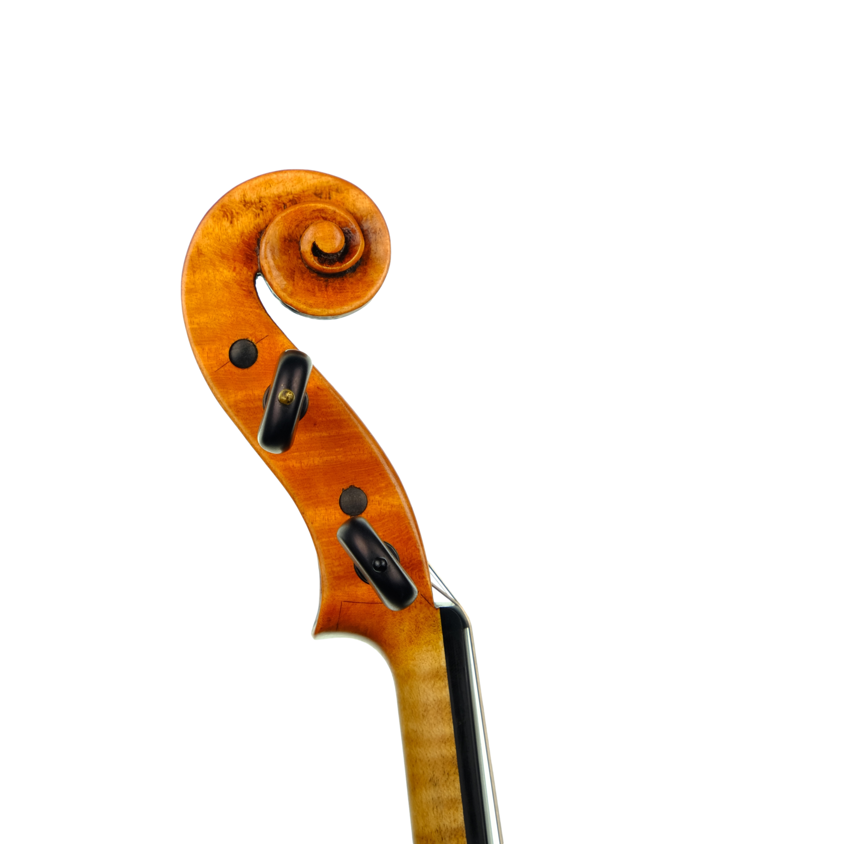 Violin - Marco Dotti, copy of Carlo Antonio Testore, Cremona 2023