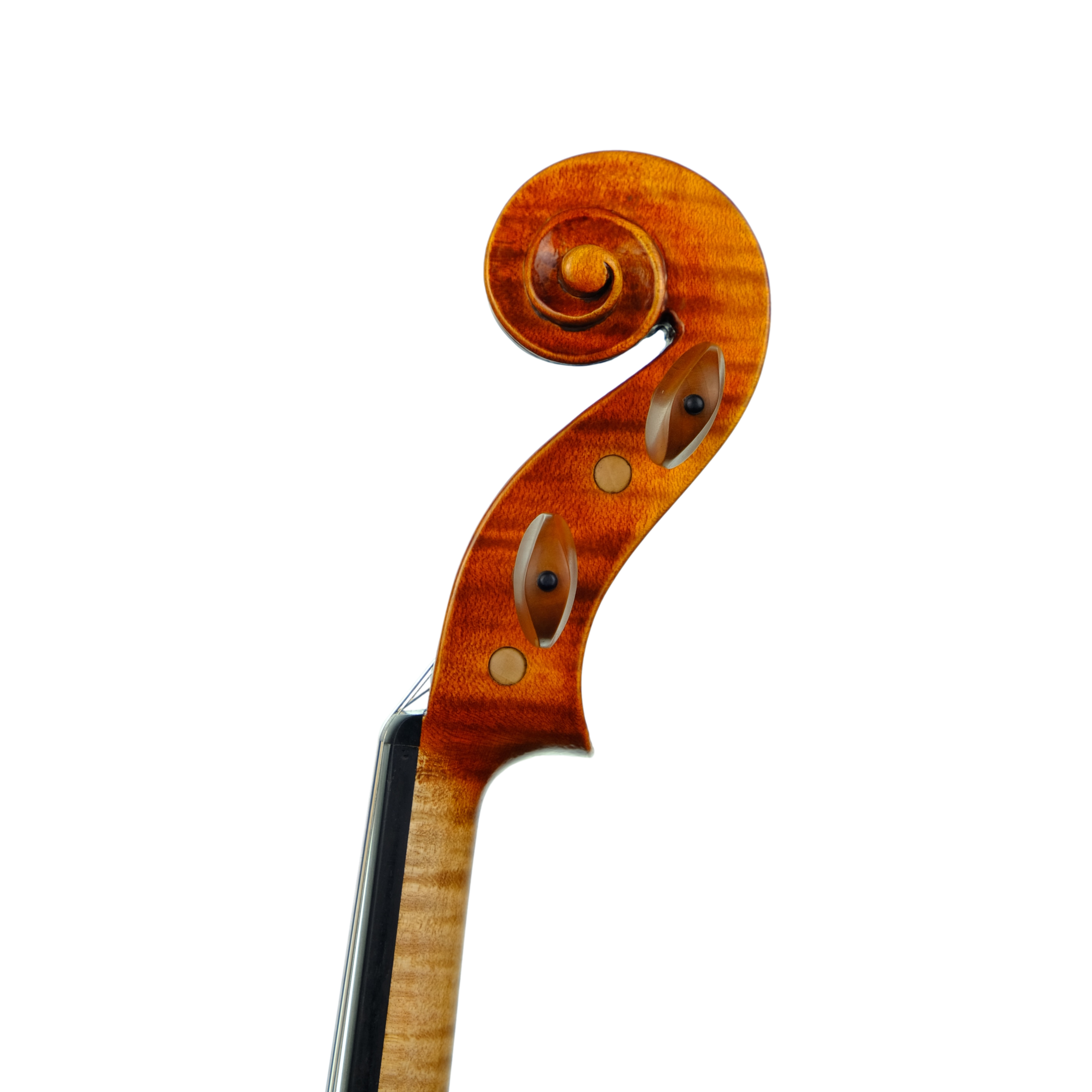 Violin - Linea Macchi, Guarneri "Lord Wilton" 2023