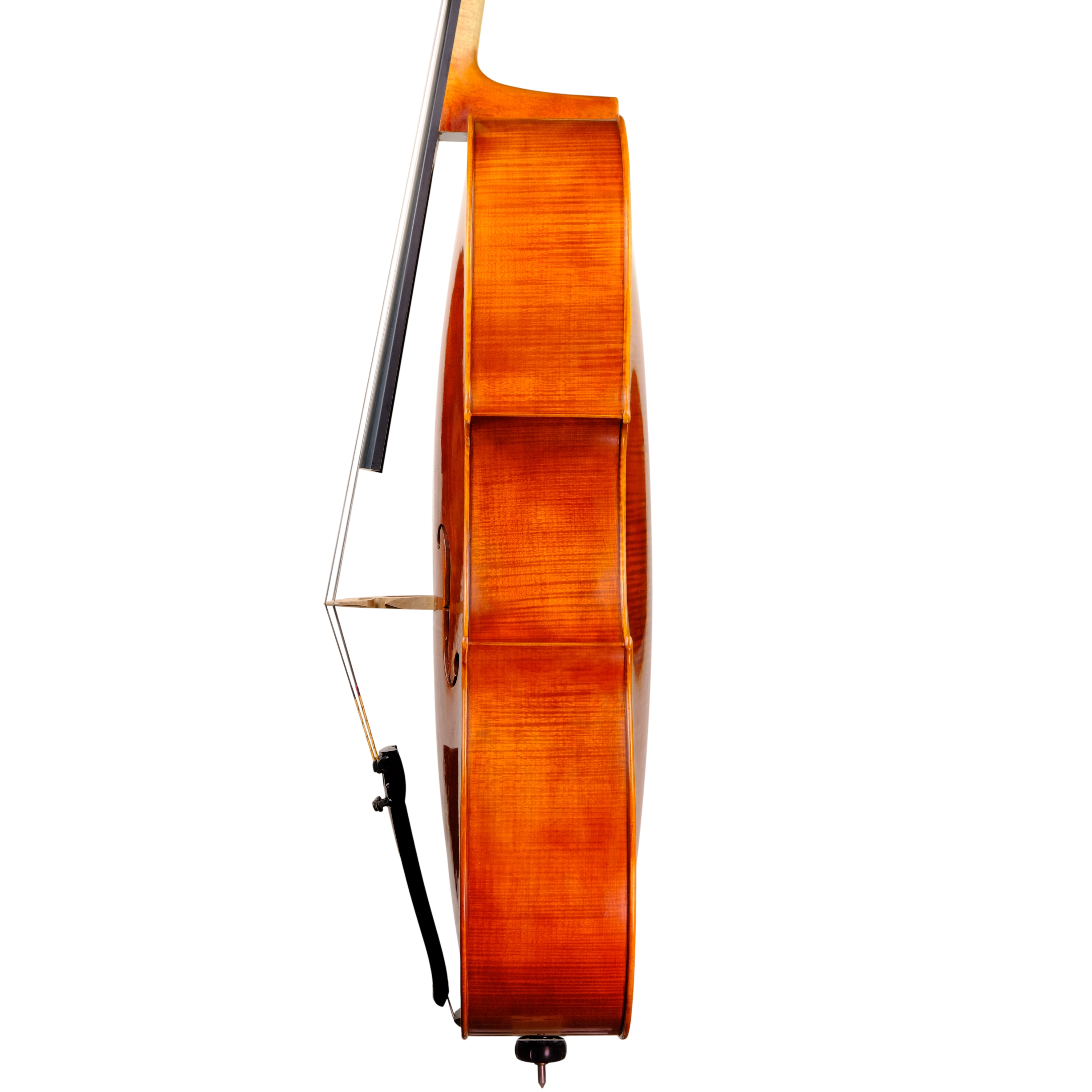 Cello - Linea Macchi, Stradivari "Gore Booth", Cremona 2023