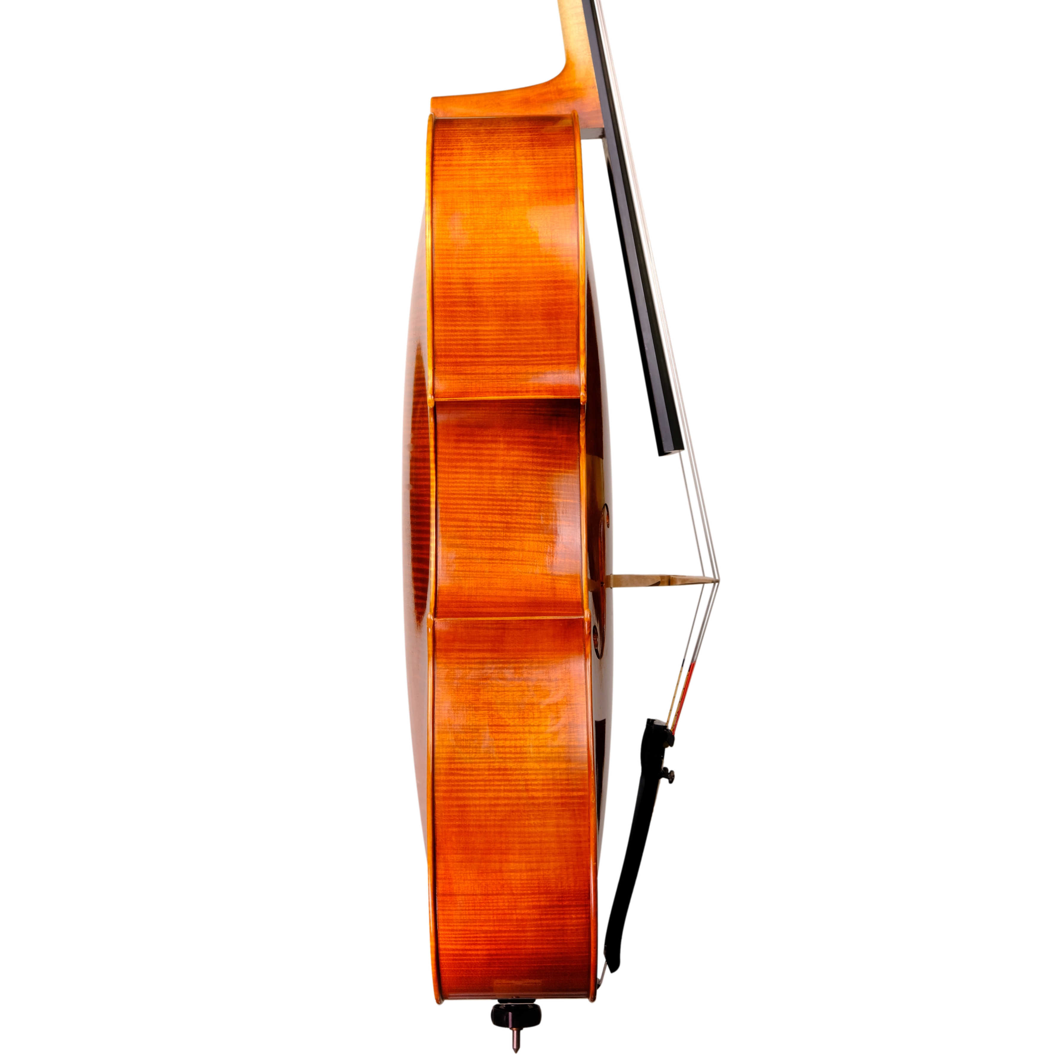Cello - Linea Macchi, Stradivari "Gore Booth", Cremona 2023