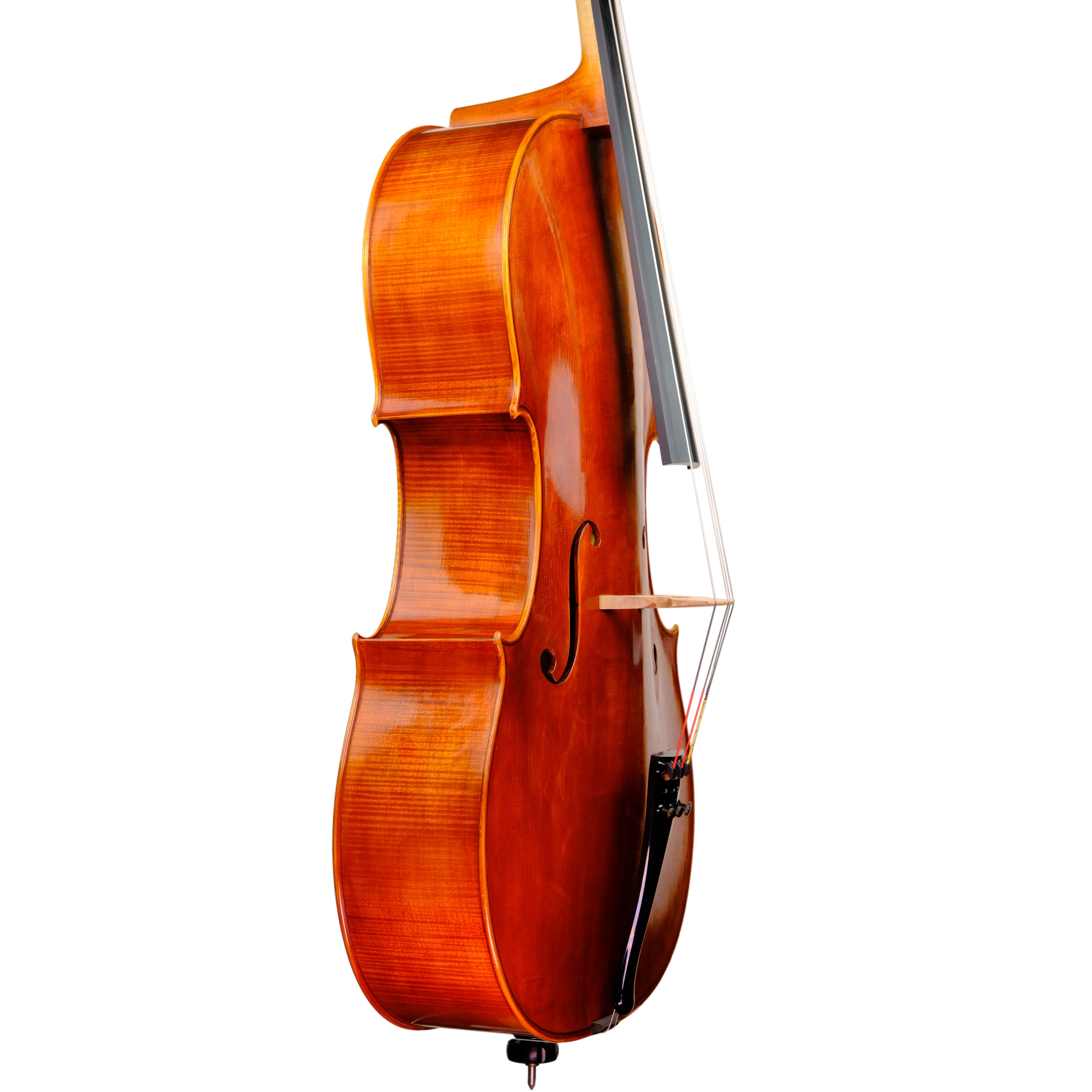 Cello - Linea Macchi, Stradivari "Gore Booth", Cremona 2023