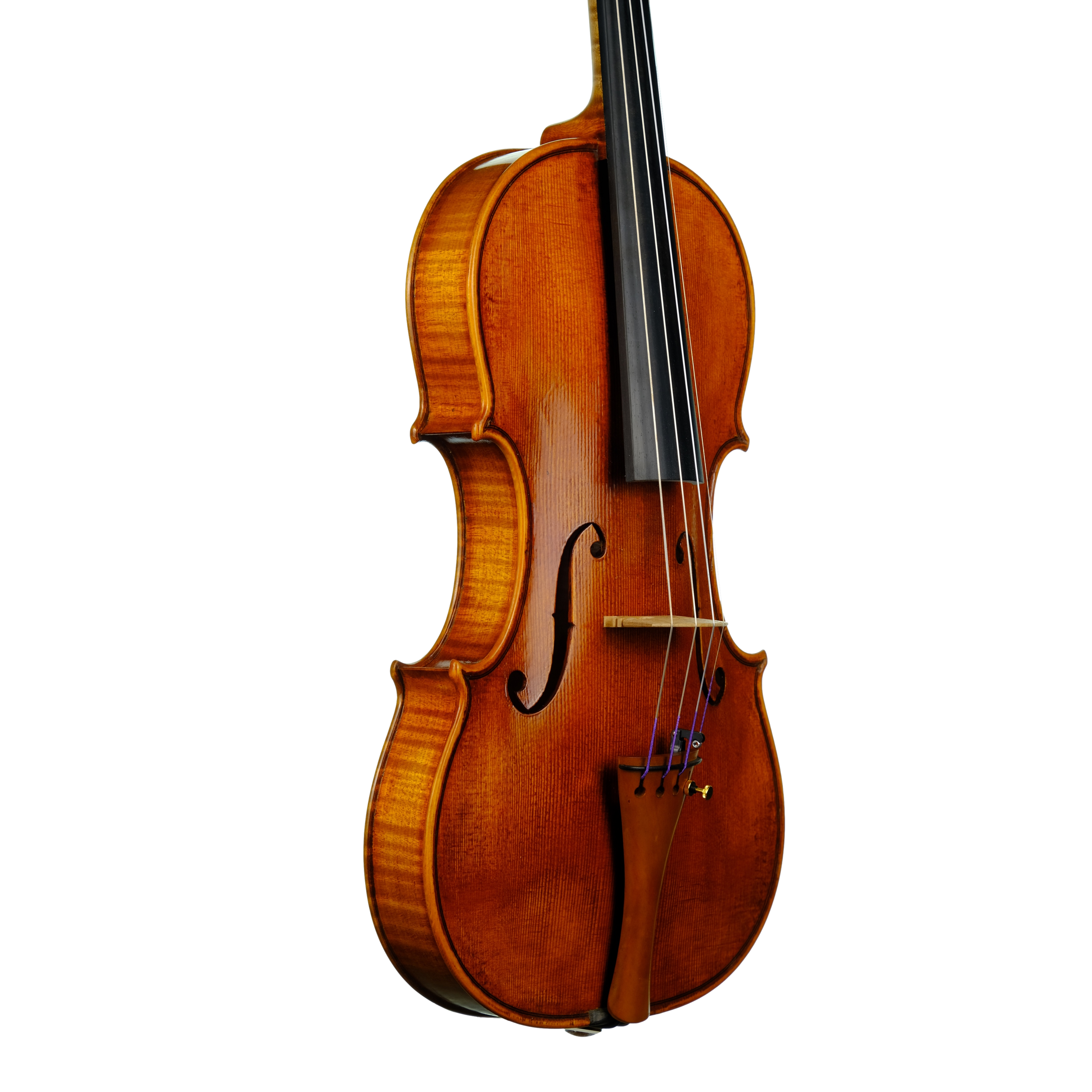 Violin - Linea Macchi, Guarneri "Lord Wilton" 2023