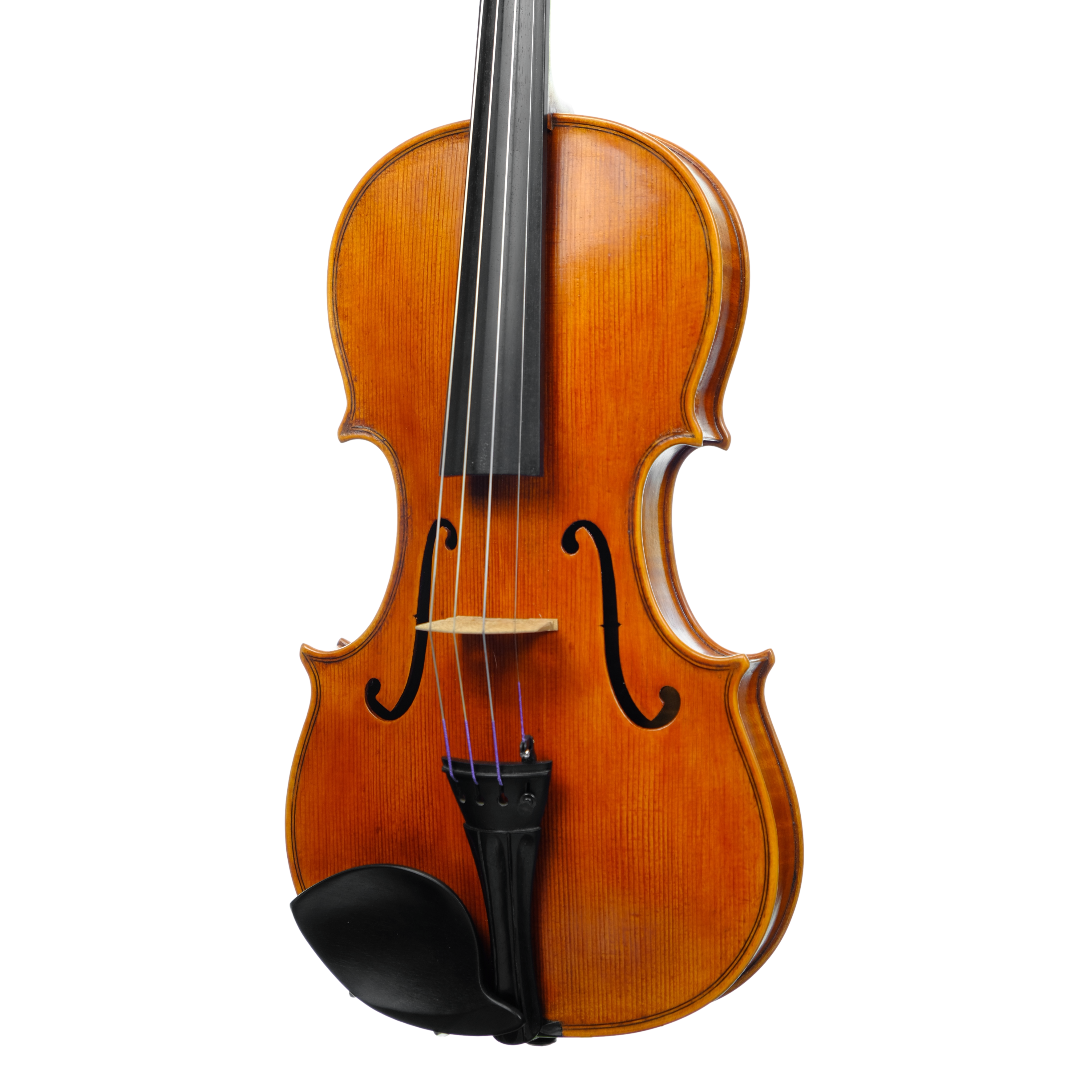 Violin - Marco Dotti, copy of Carlo Antonio Testore