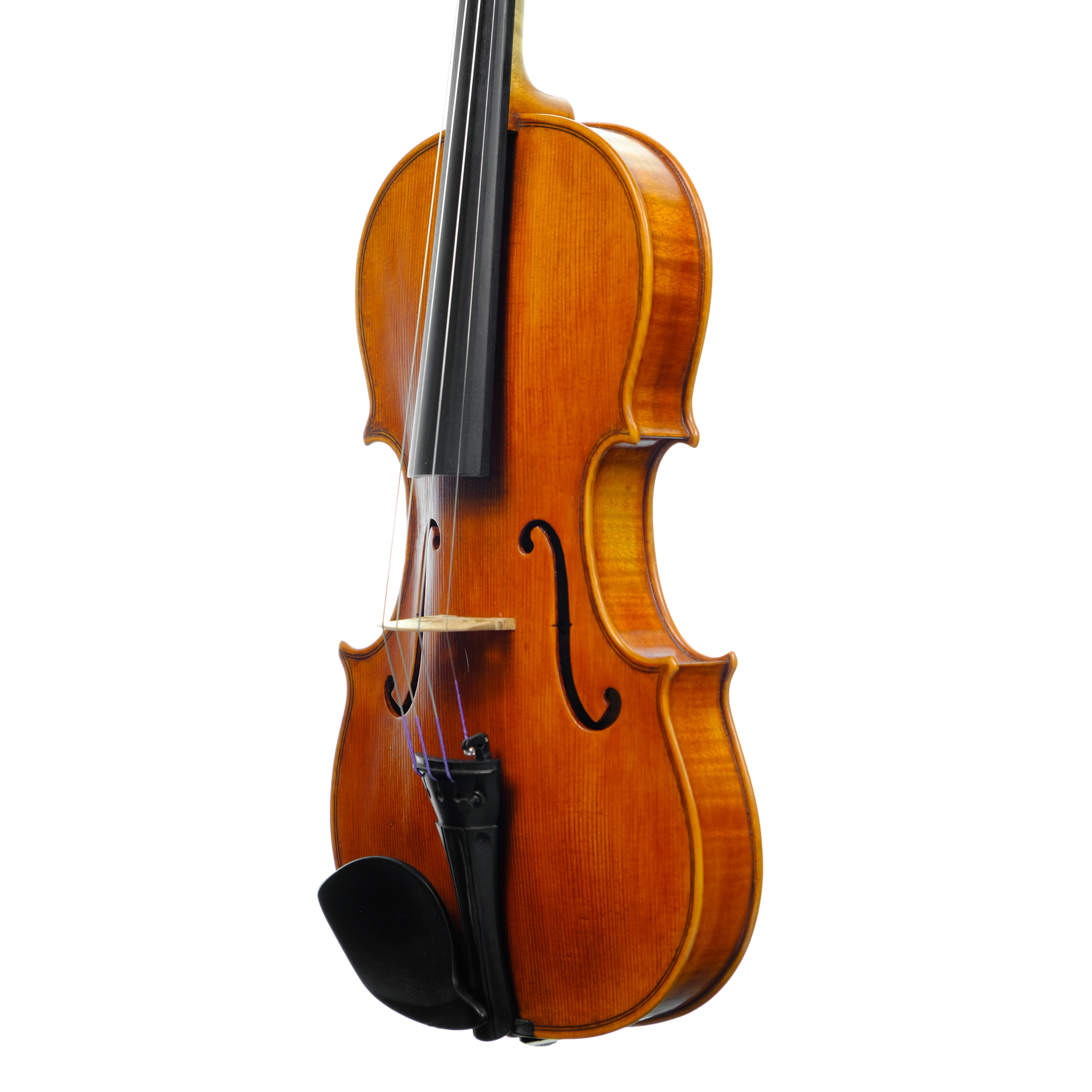 Violin - Marco Dotti, copy of Carlo Antonio Testore