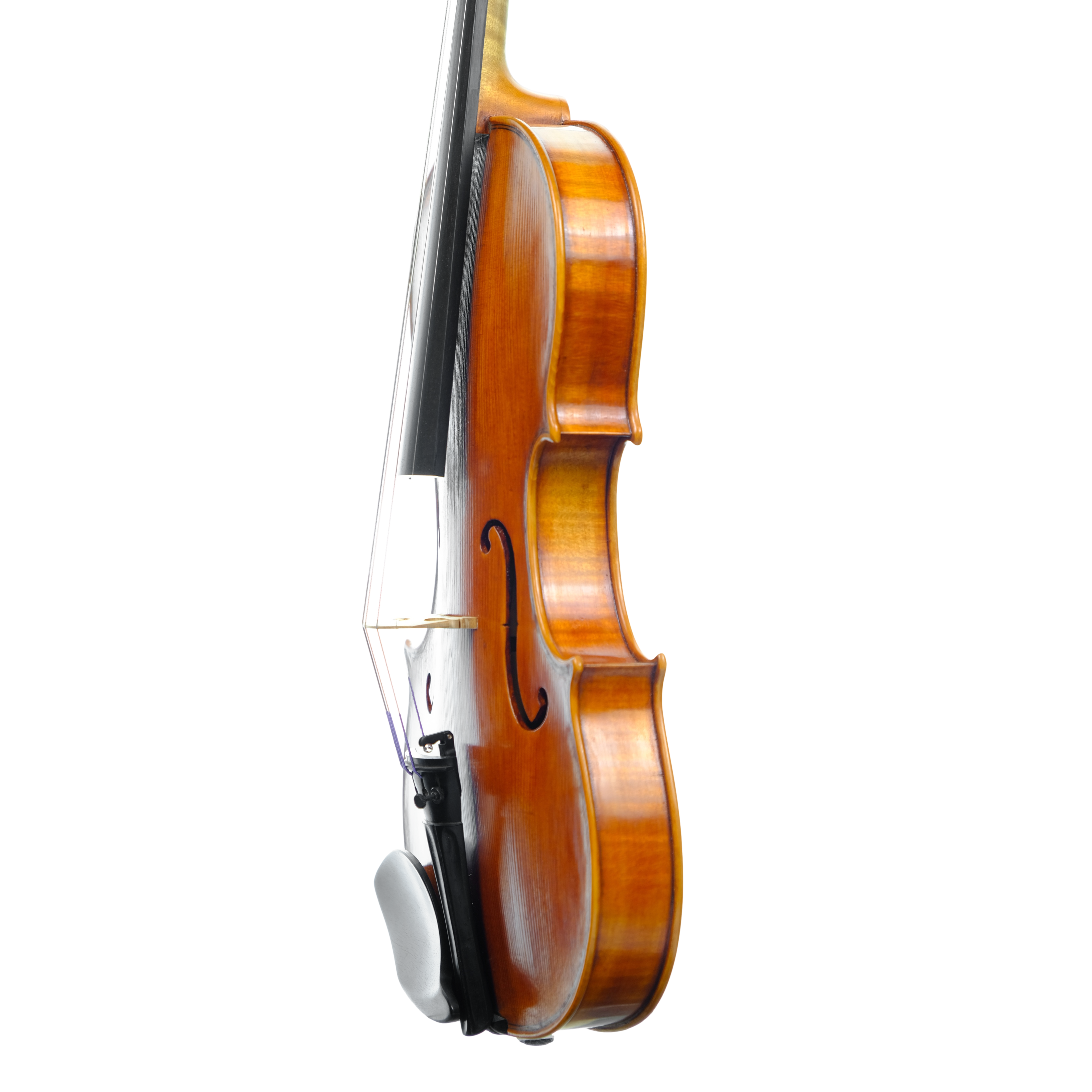 Violin - Marco Dotti, copy of Carlo Antonio Testore