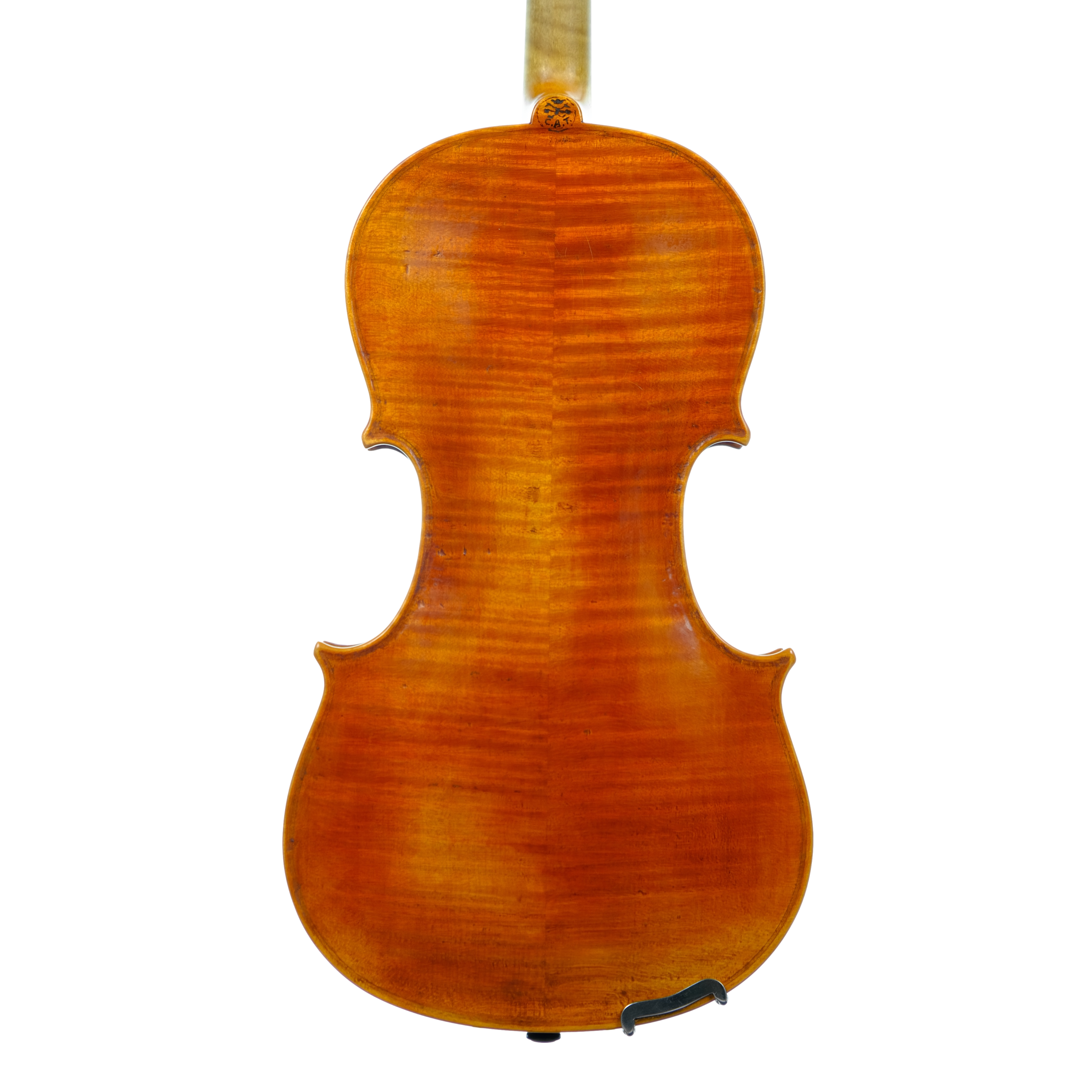Violin - Marco Dotti, copy of Carlo Antonio Testore