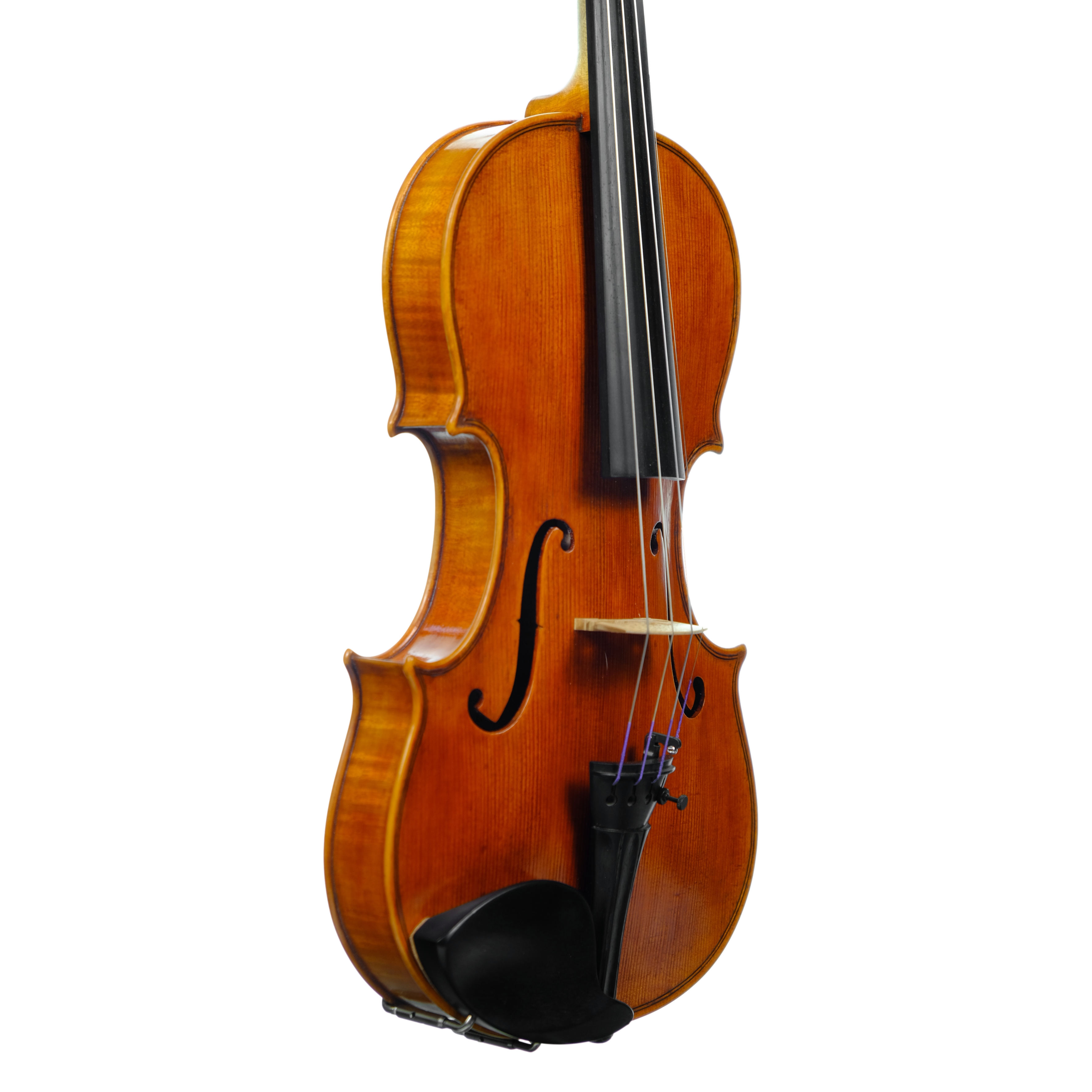 Violin - Marco Dotti, copy of Carlo Antonio Testore