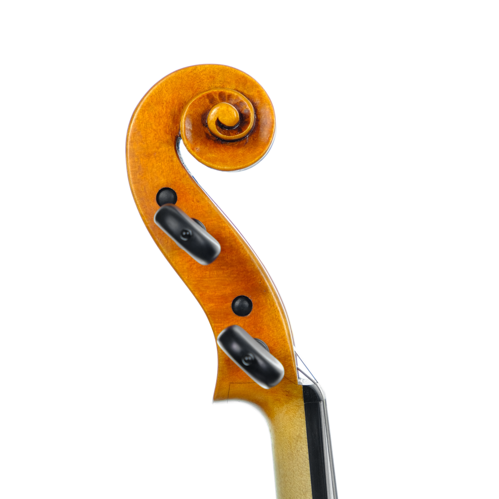 Violin - Marco Dotti, copy of Carlo Antonio Testore