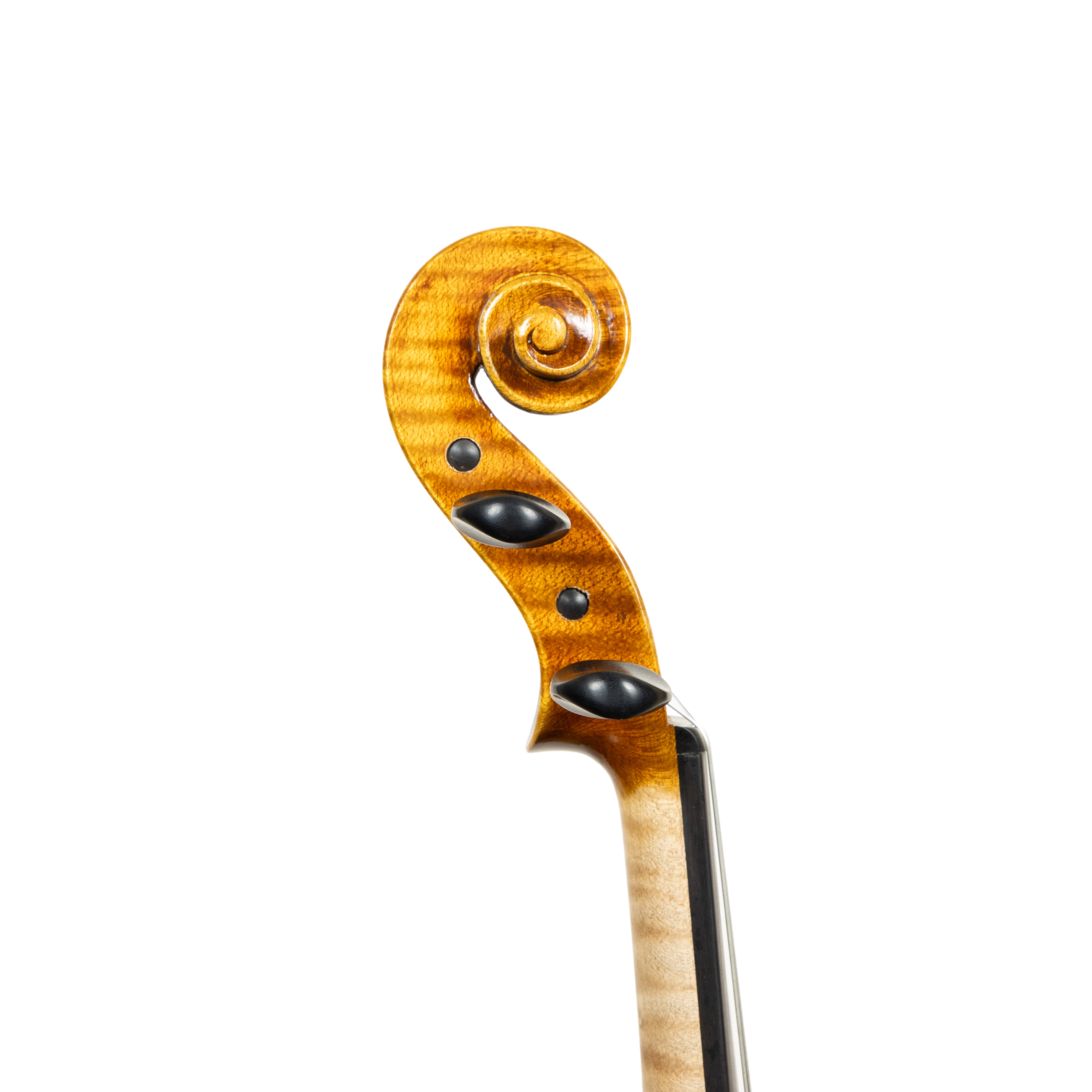 Violin - Scala Perfetta, Stradivari, Cremona 2025 "GRAN PARADISO"