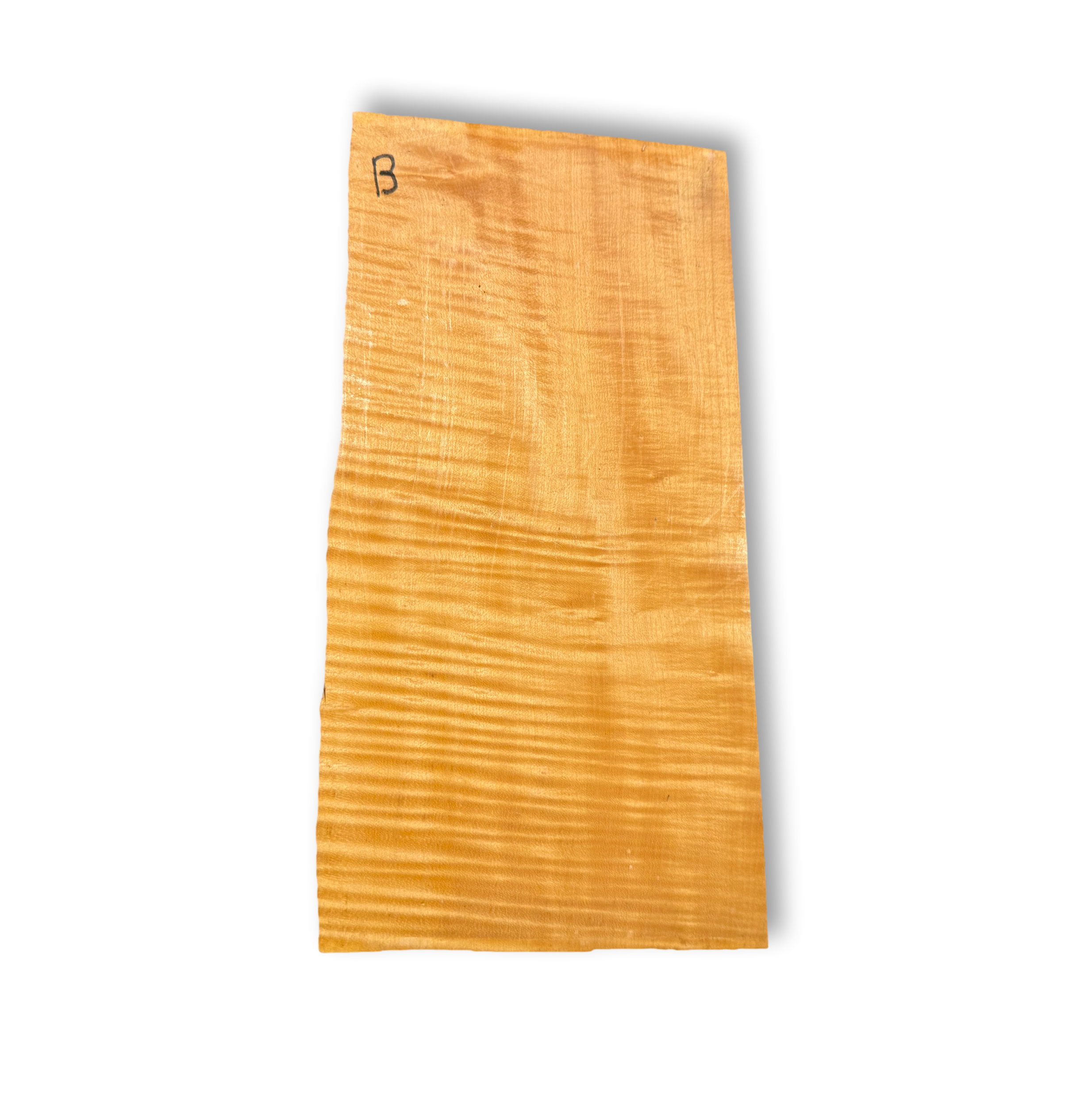 Complete Kit for violin B