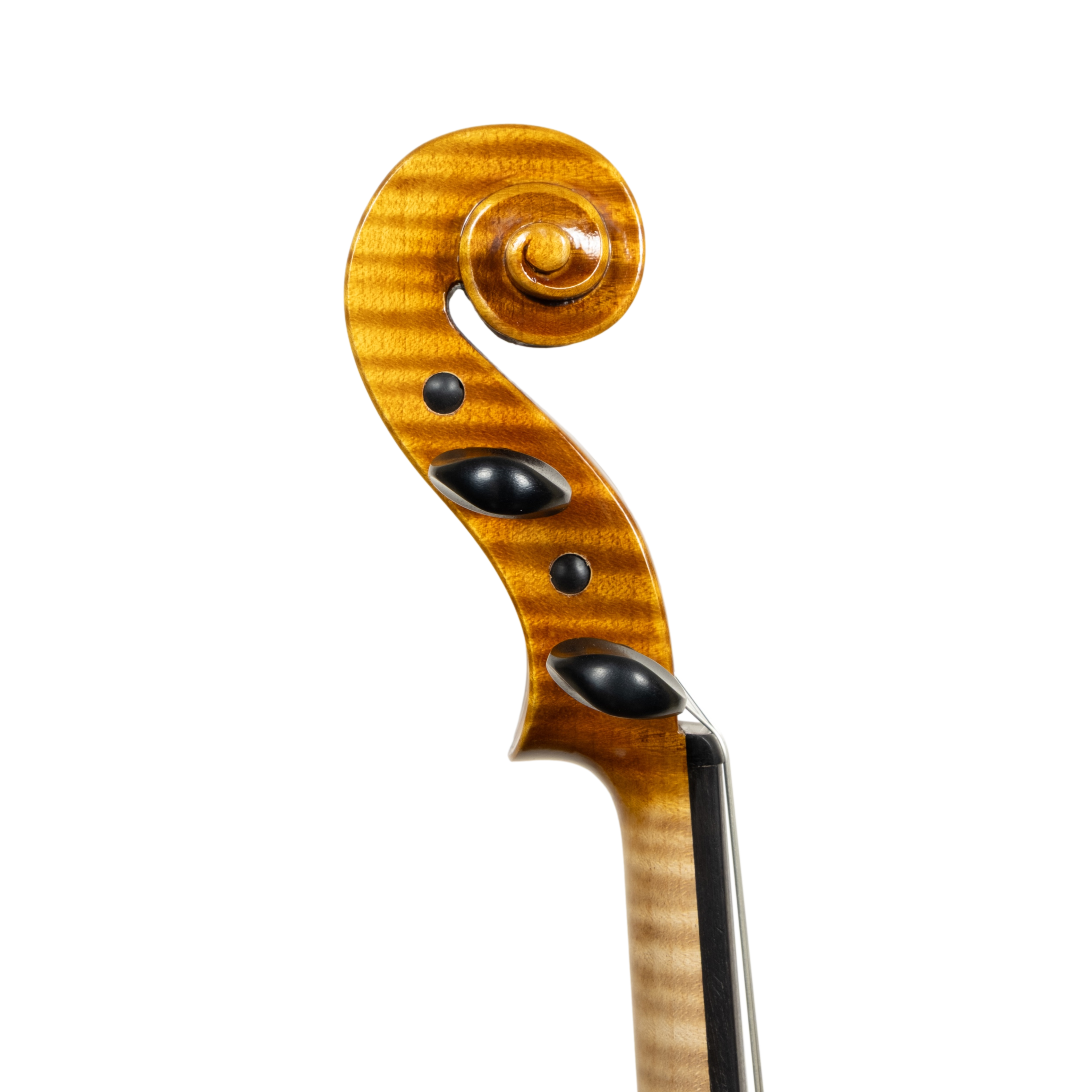 Violin - Scala Perfetta, Stradivari, Cremona 2025 "MONTE ROSA"