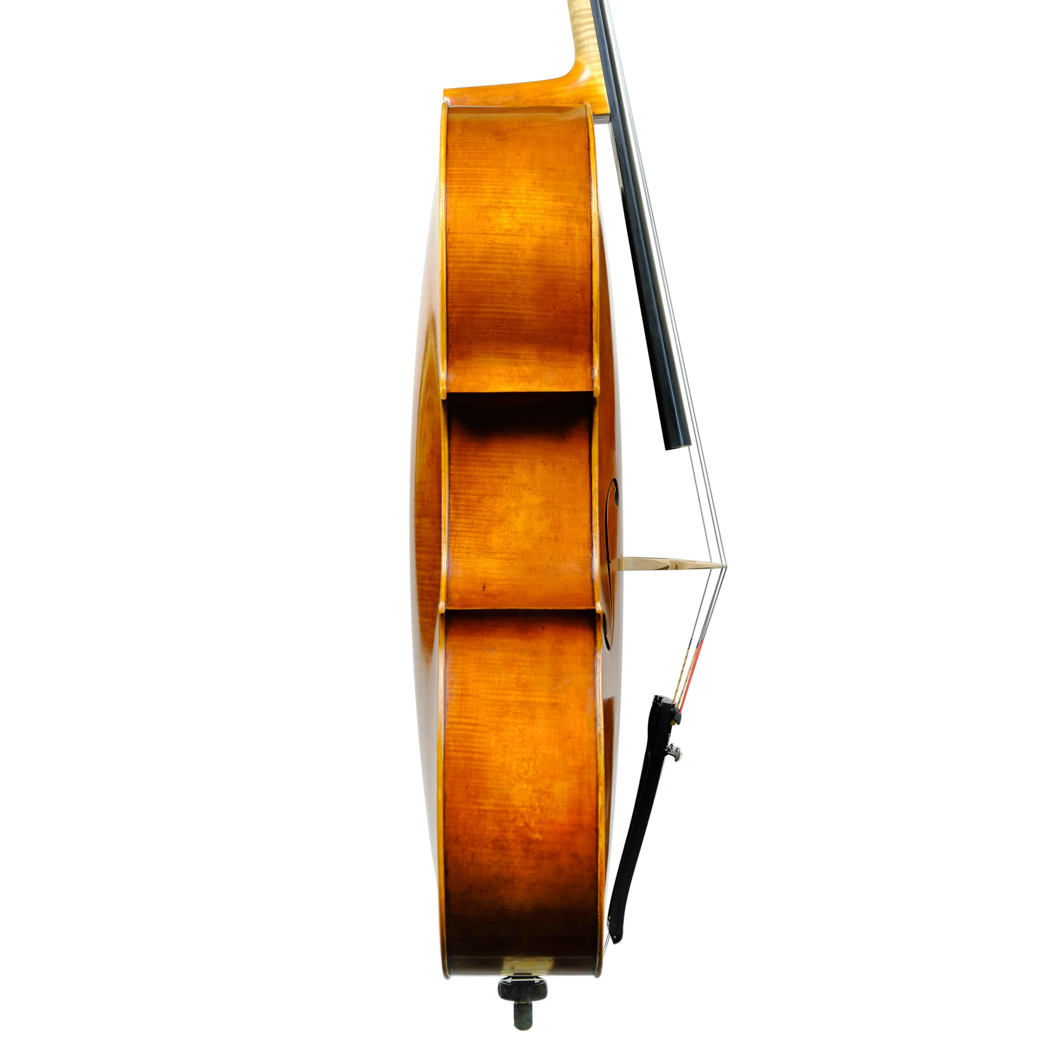 Cello - Enrico Bertoncini, Cremona