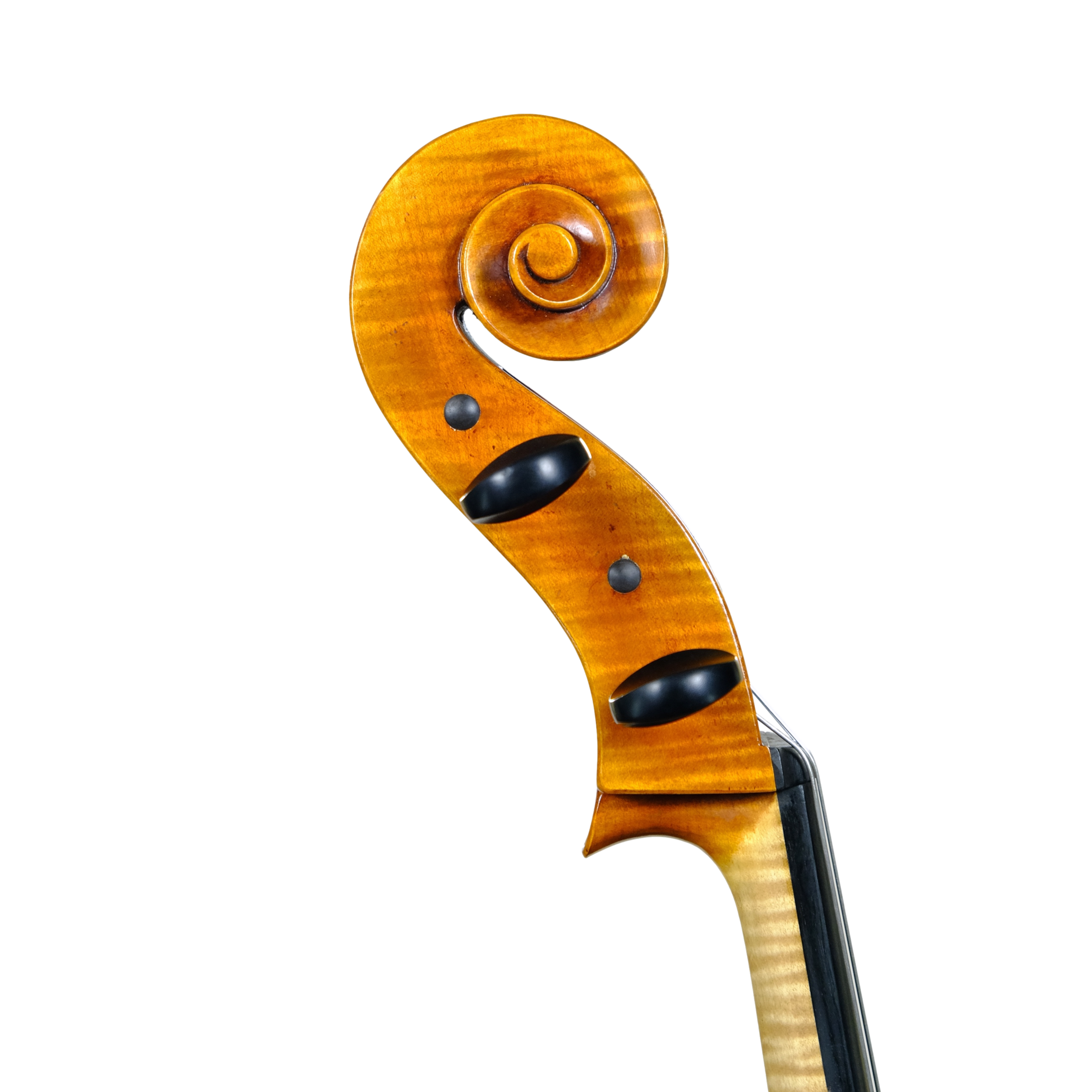 Cello - Enrico Bertoncini, Cremona