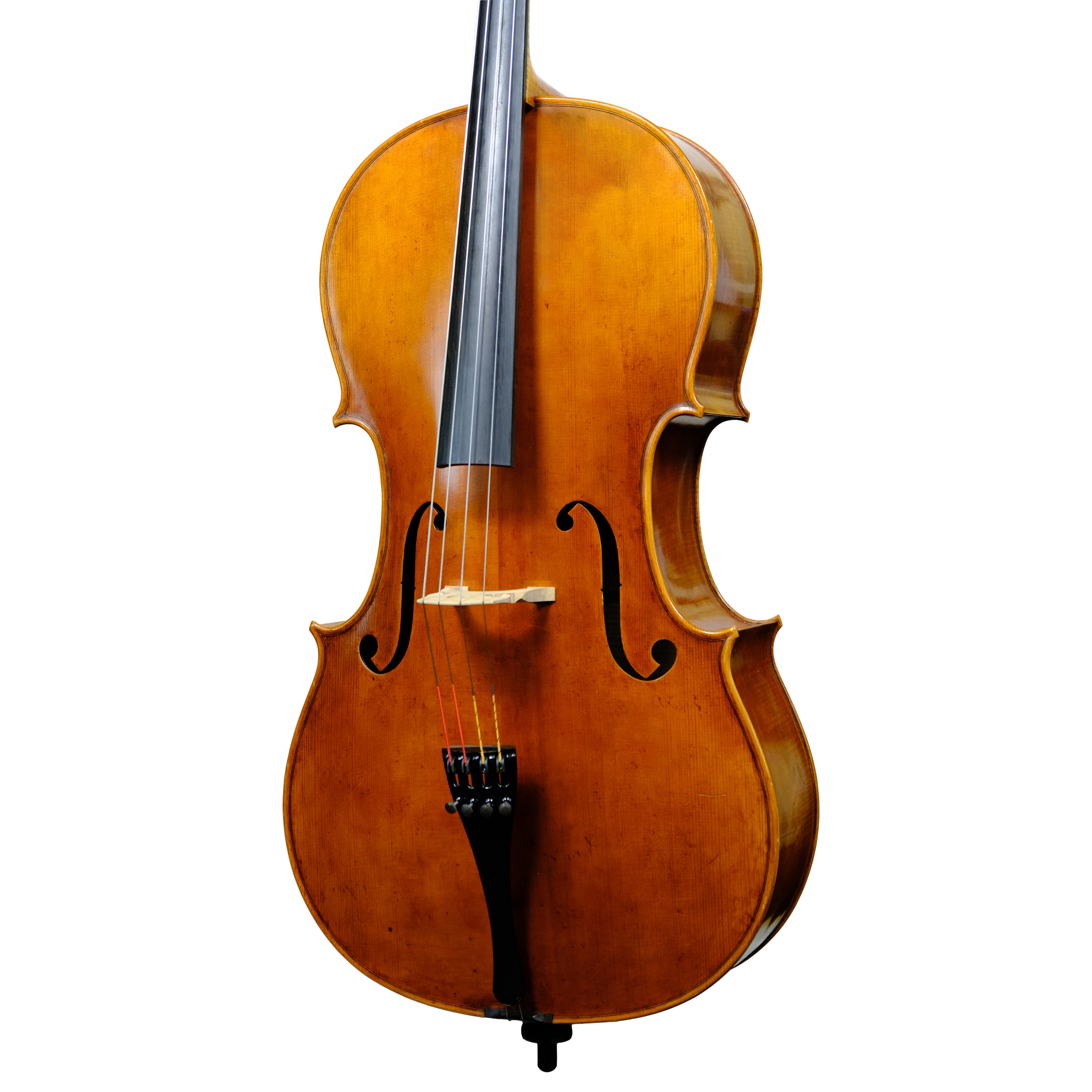 Cello - Enrico Bertoncini, Cremona