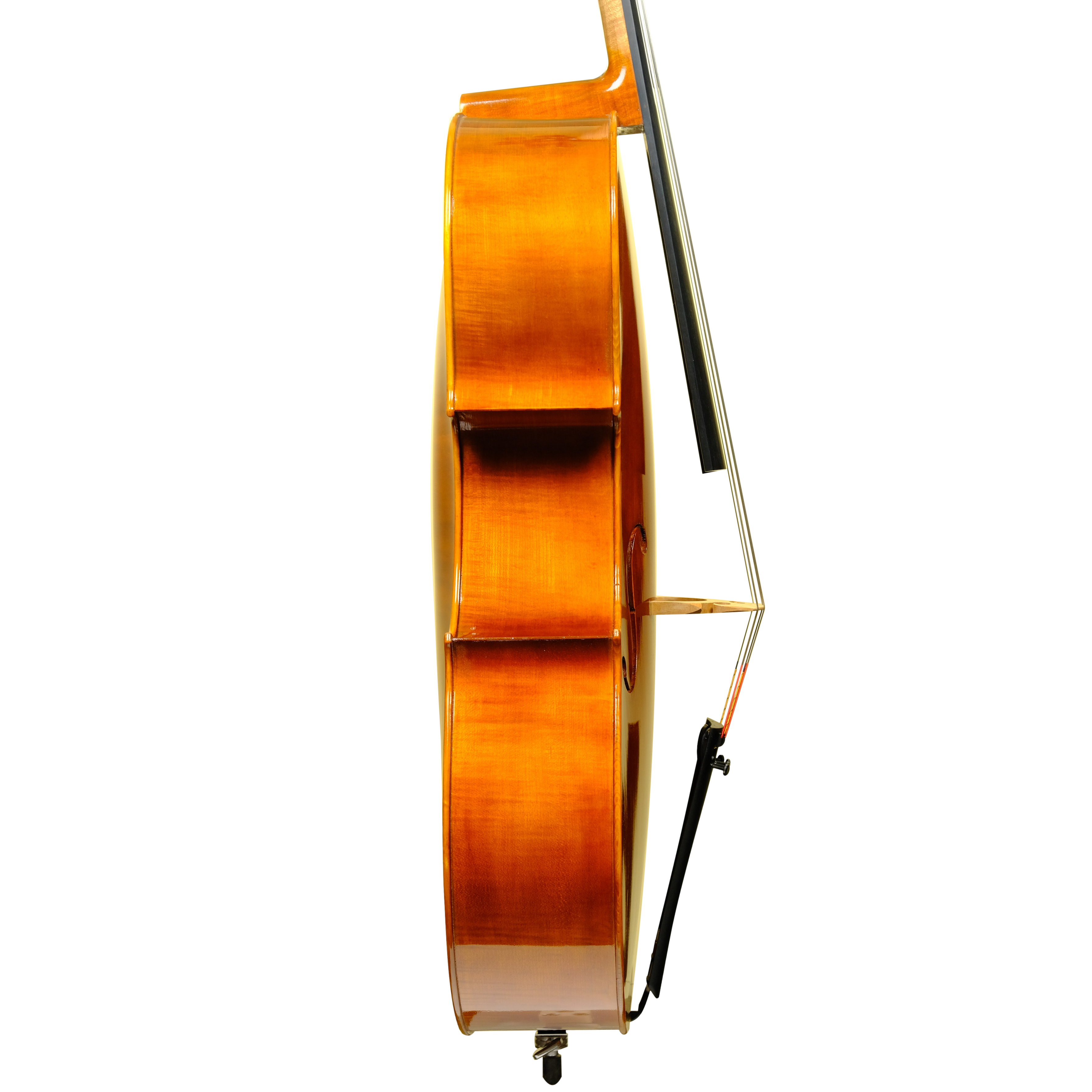 Cello - Scala Perfetta, Gagliano, Cremona 2023