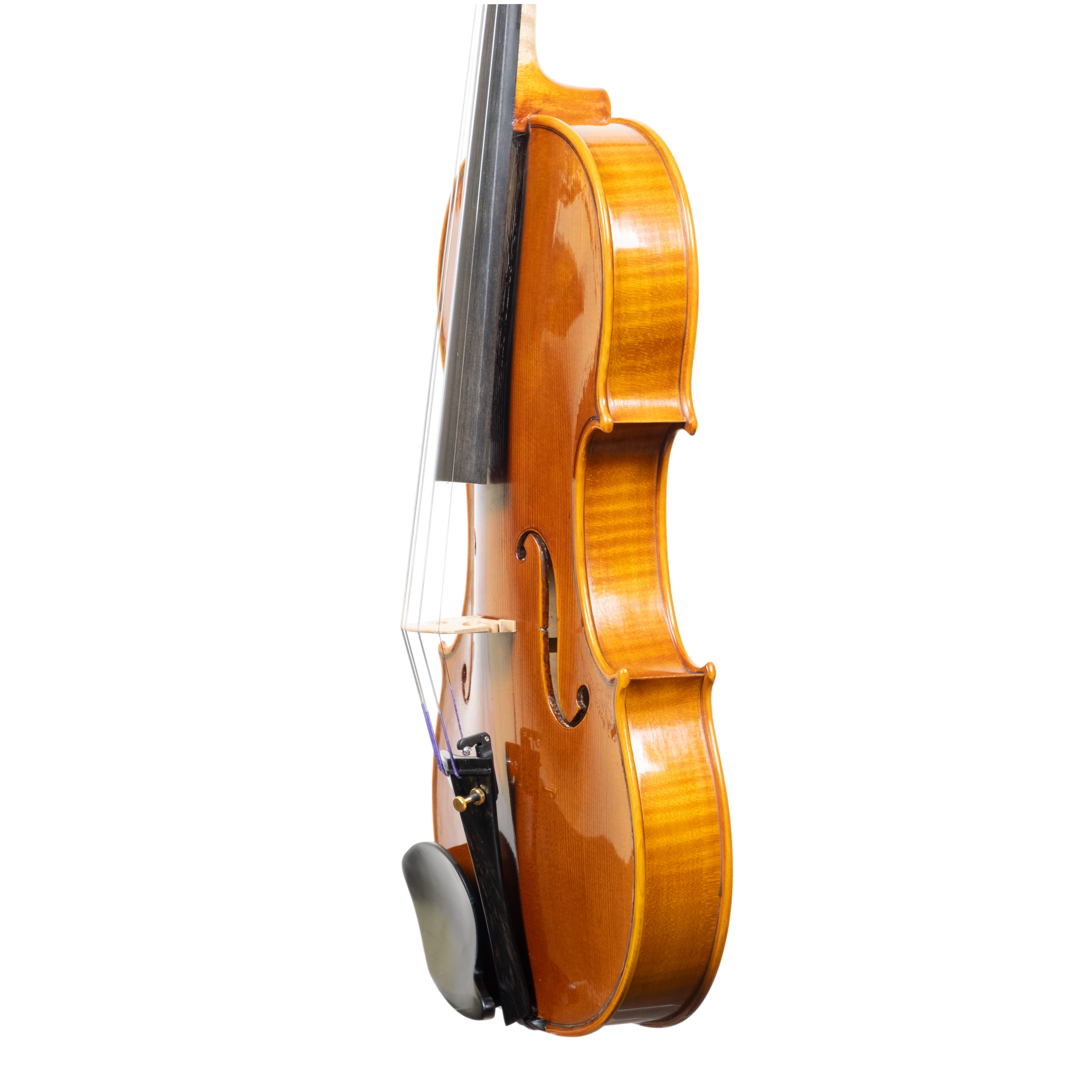 Violin - Arianna Endo, Amati, Cremona 2024