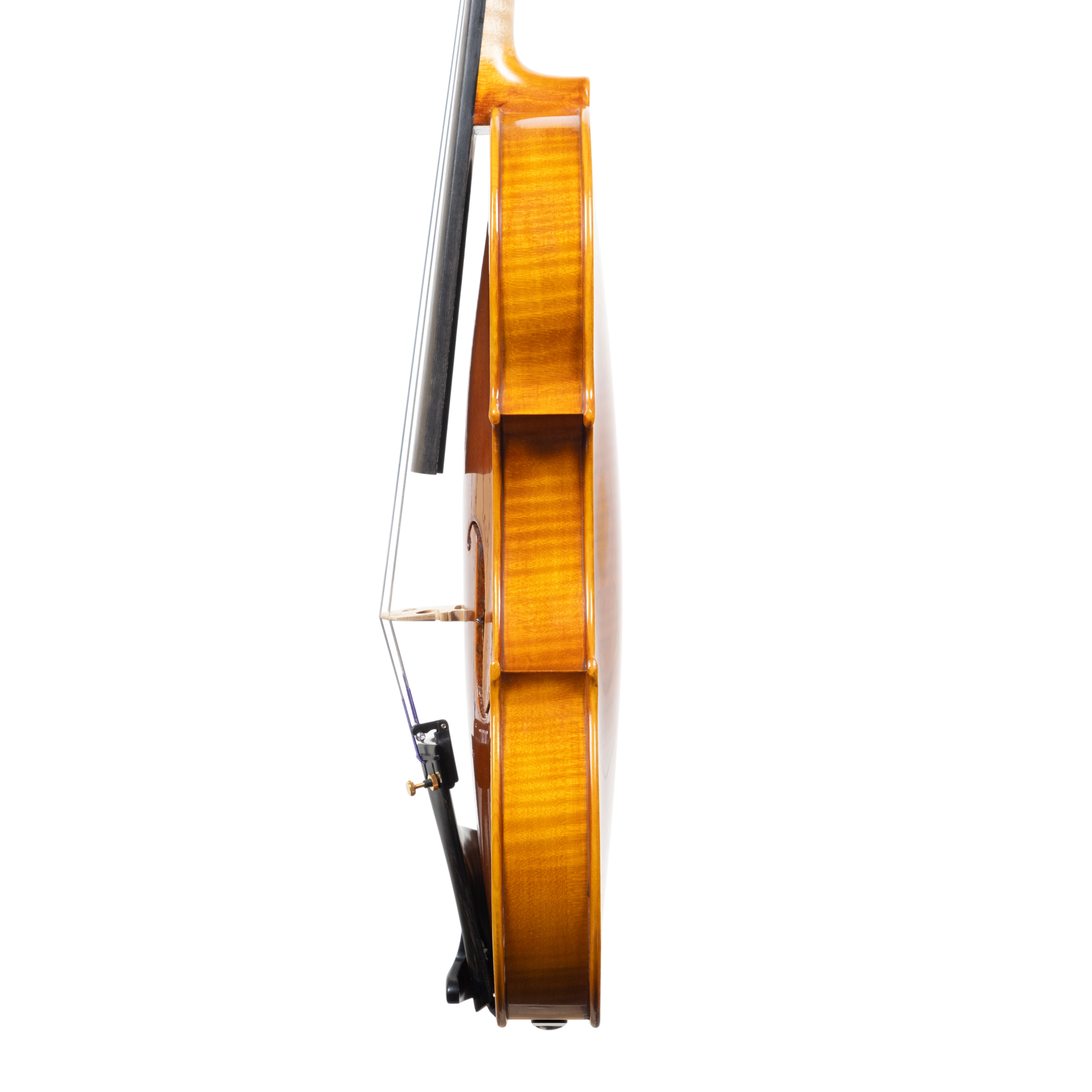 Violin - Arianna Endo, Amati, Cremona 2024