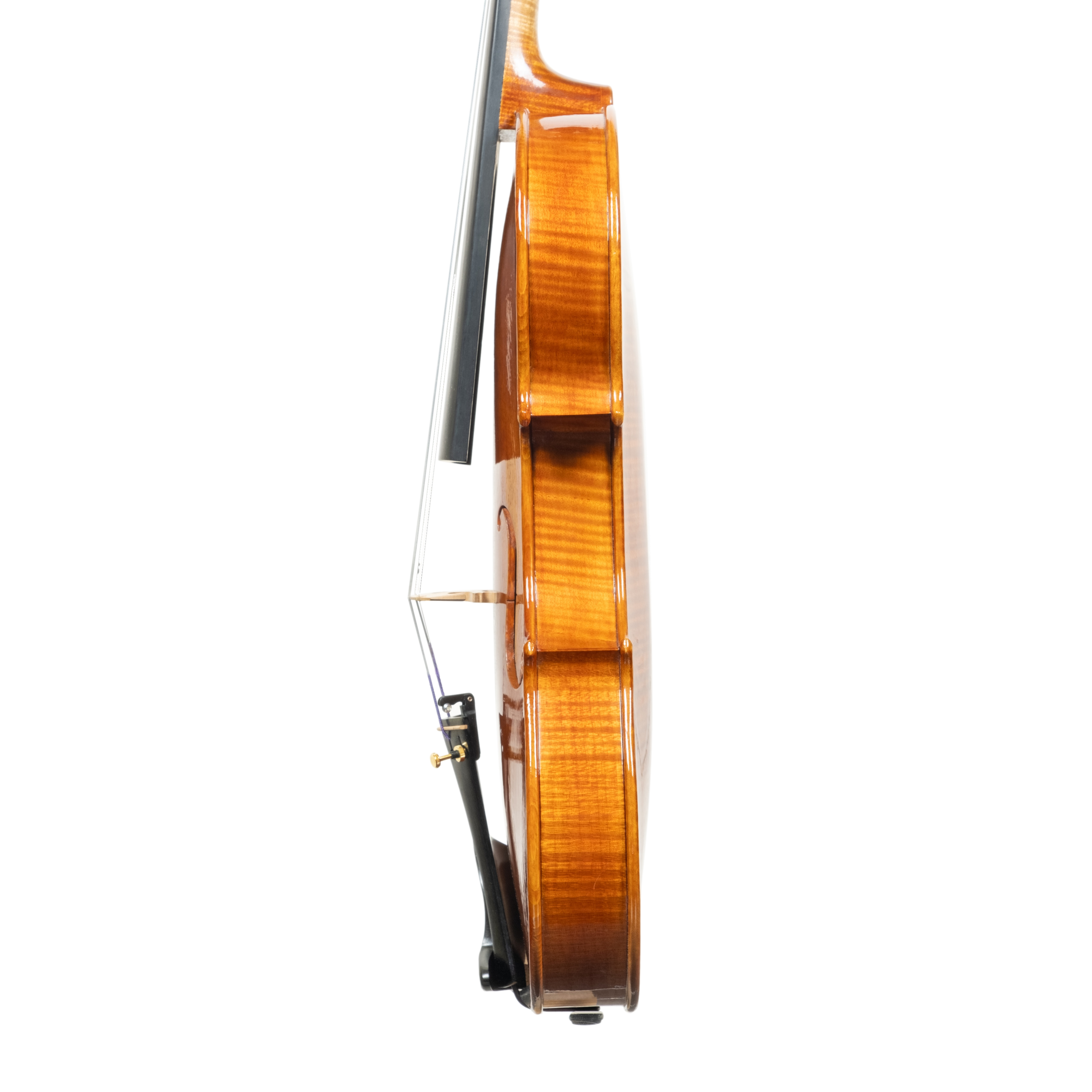 Violin - Diego Carranza, Stradivari, Milano 2025