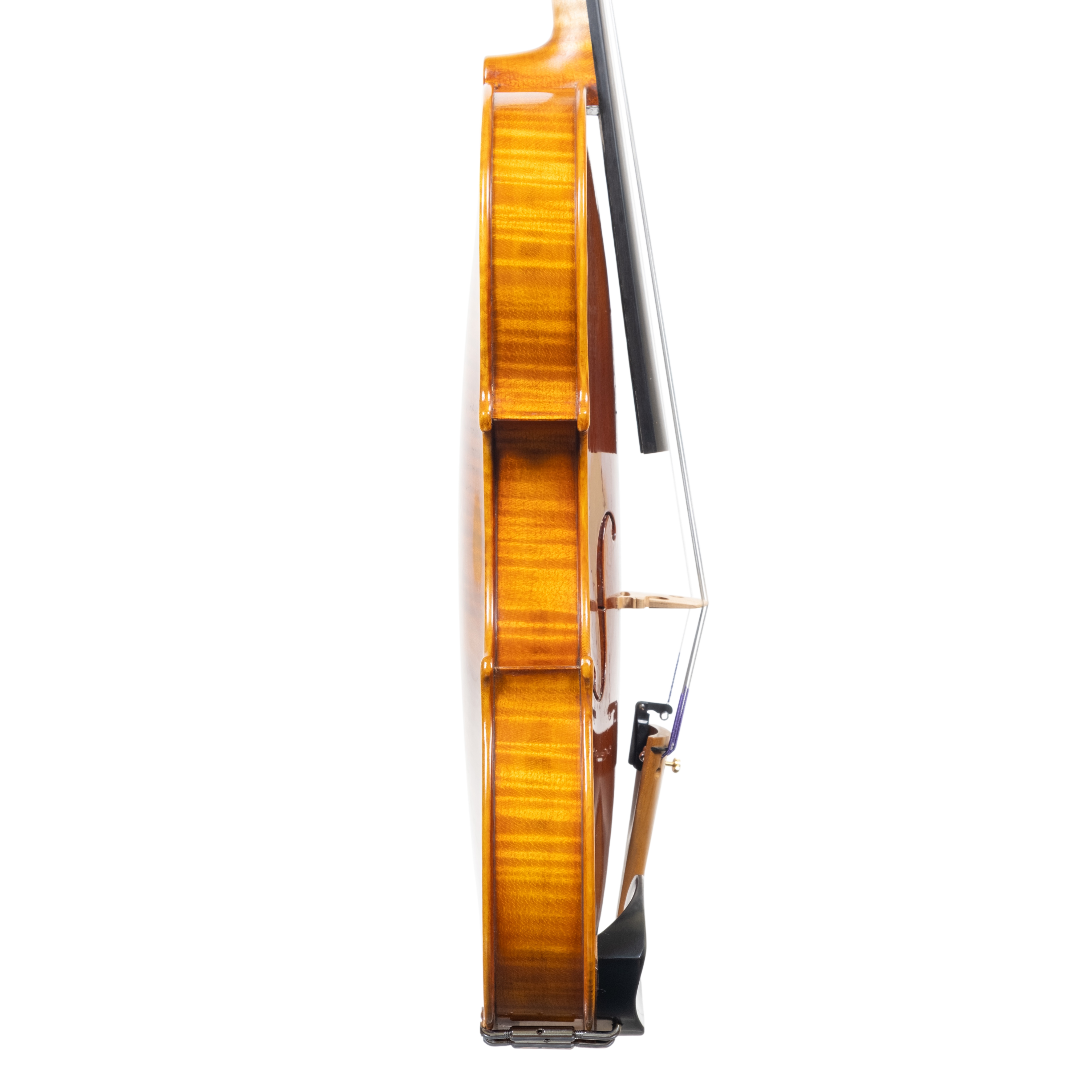 Violin - Linea Macchi, Stradivari Cremona 2025 "Fiume"