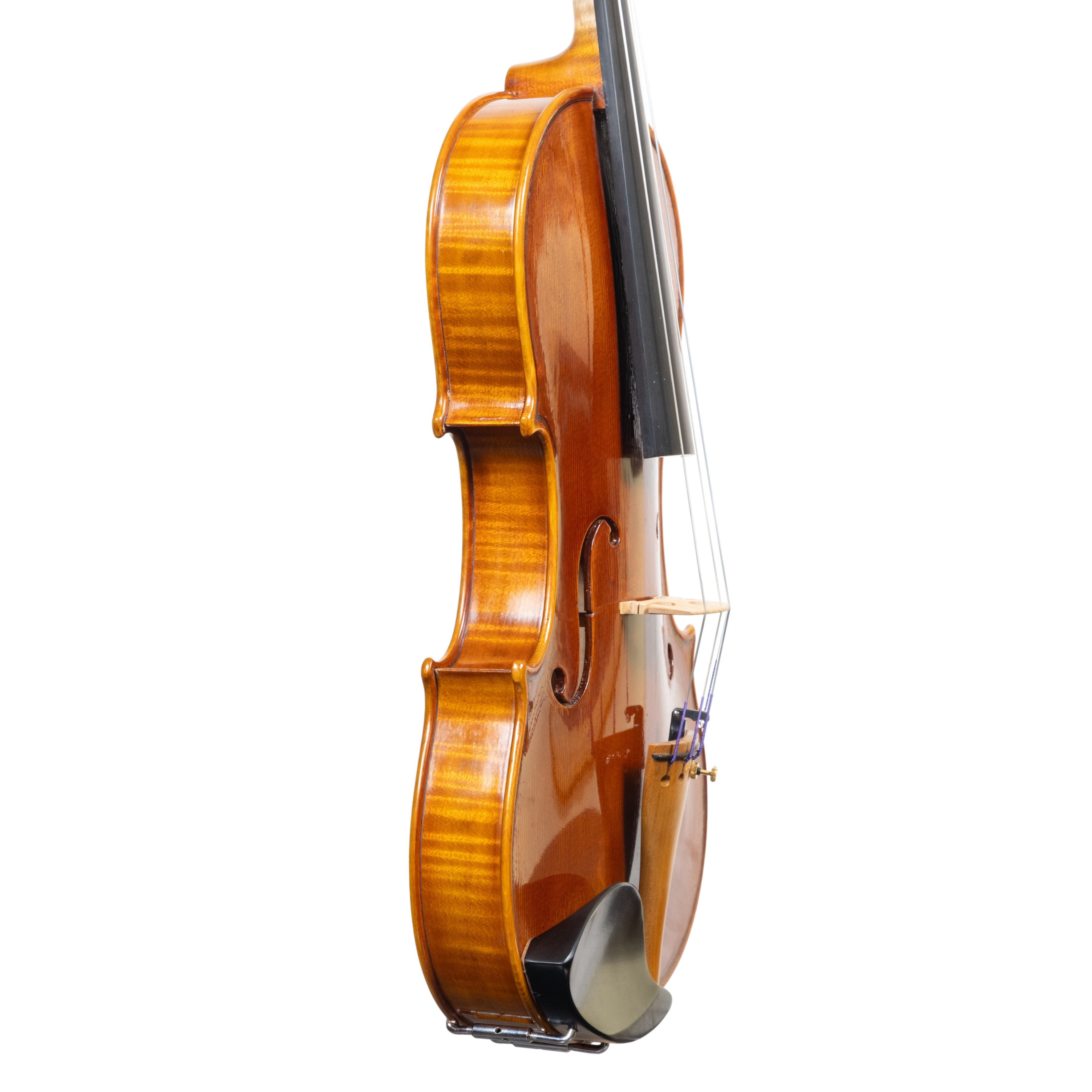 Violin - Linea Macchi, Stradivari Cremona 2025 "Fiume"
