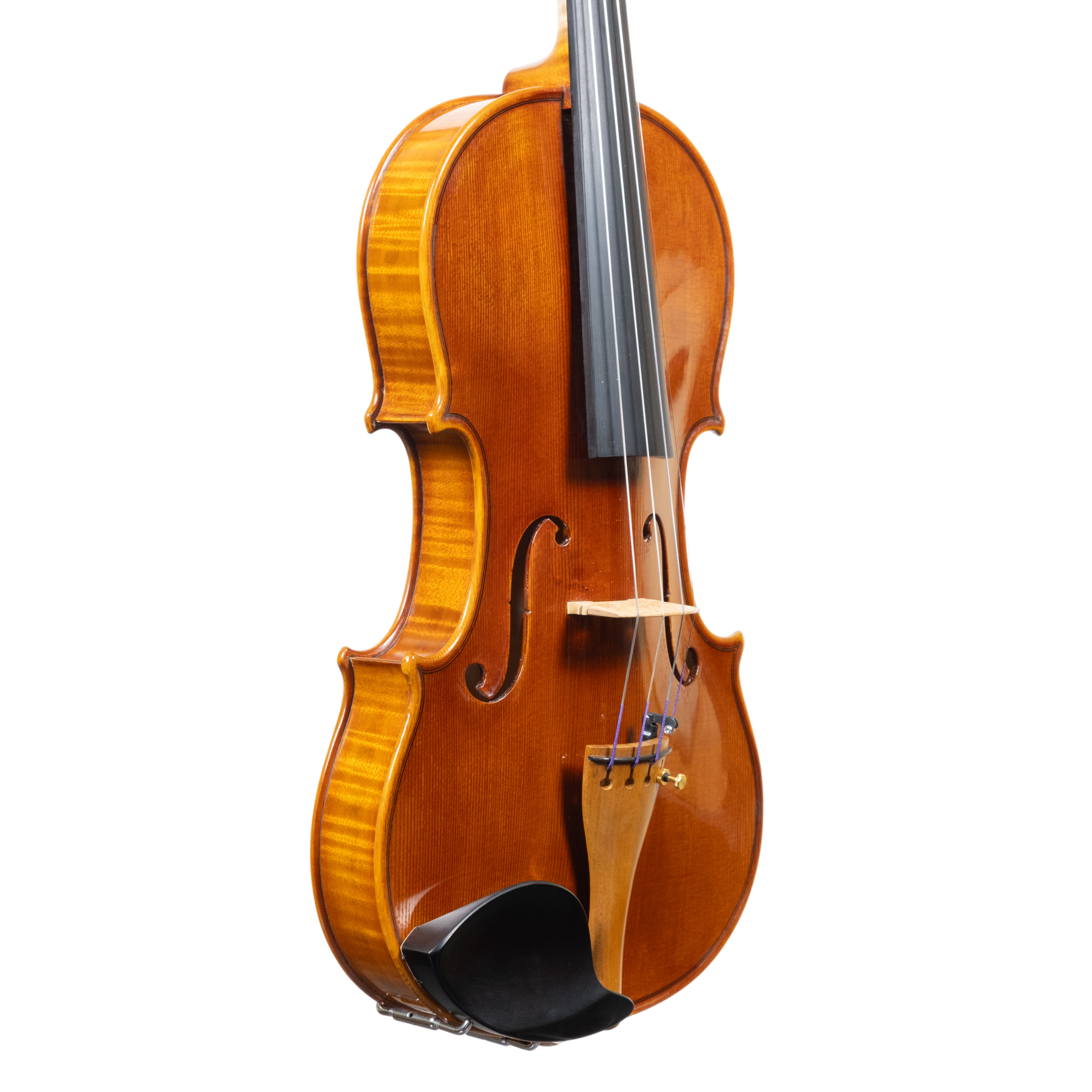 Violin - Linea Macchi, Stradivari Cremona 2025 "Fiume"
