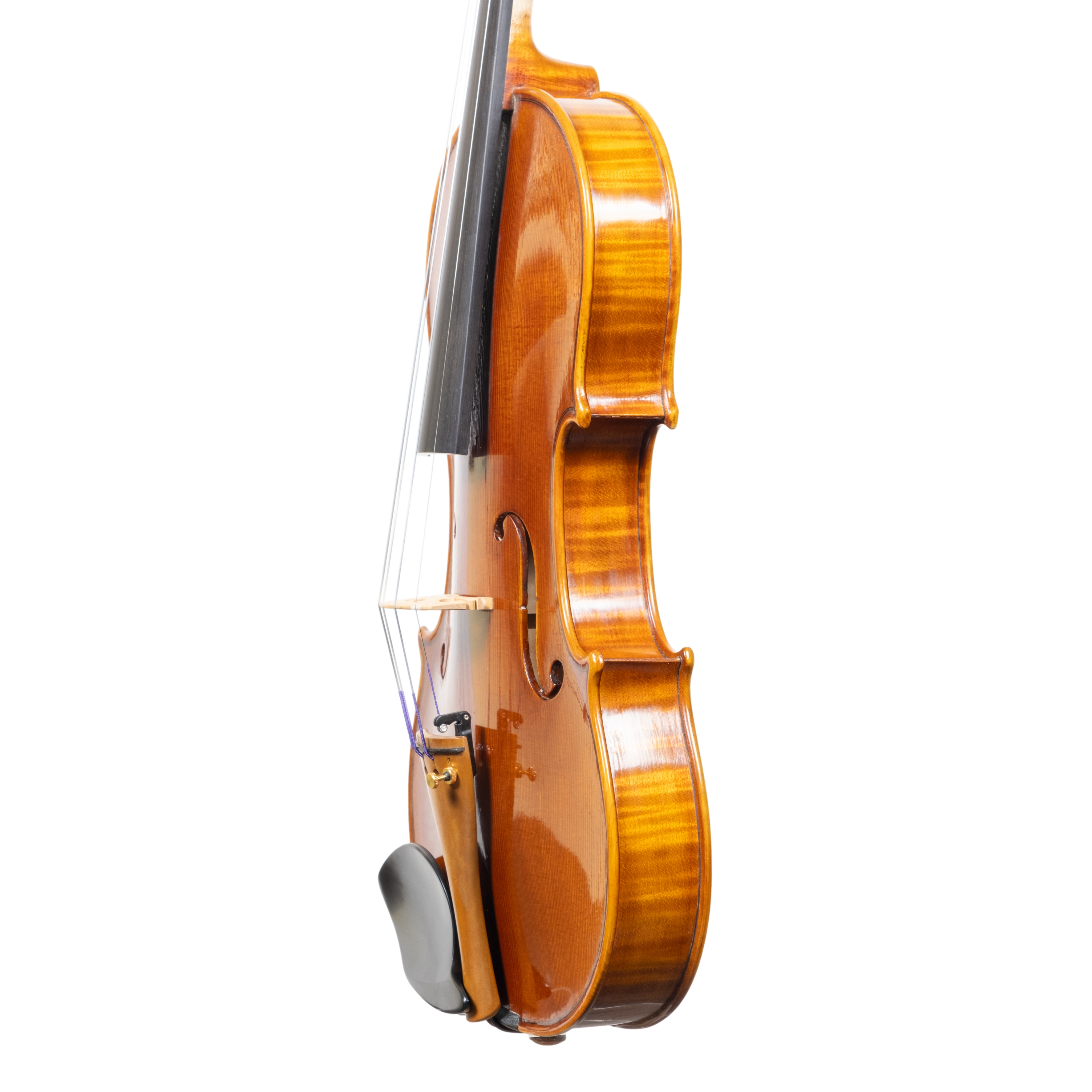 Violin - Linea Macchi, Stradivari Cremona 2025 "Fiume"