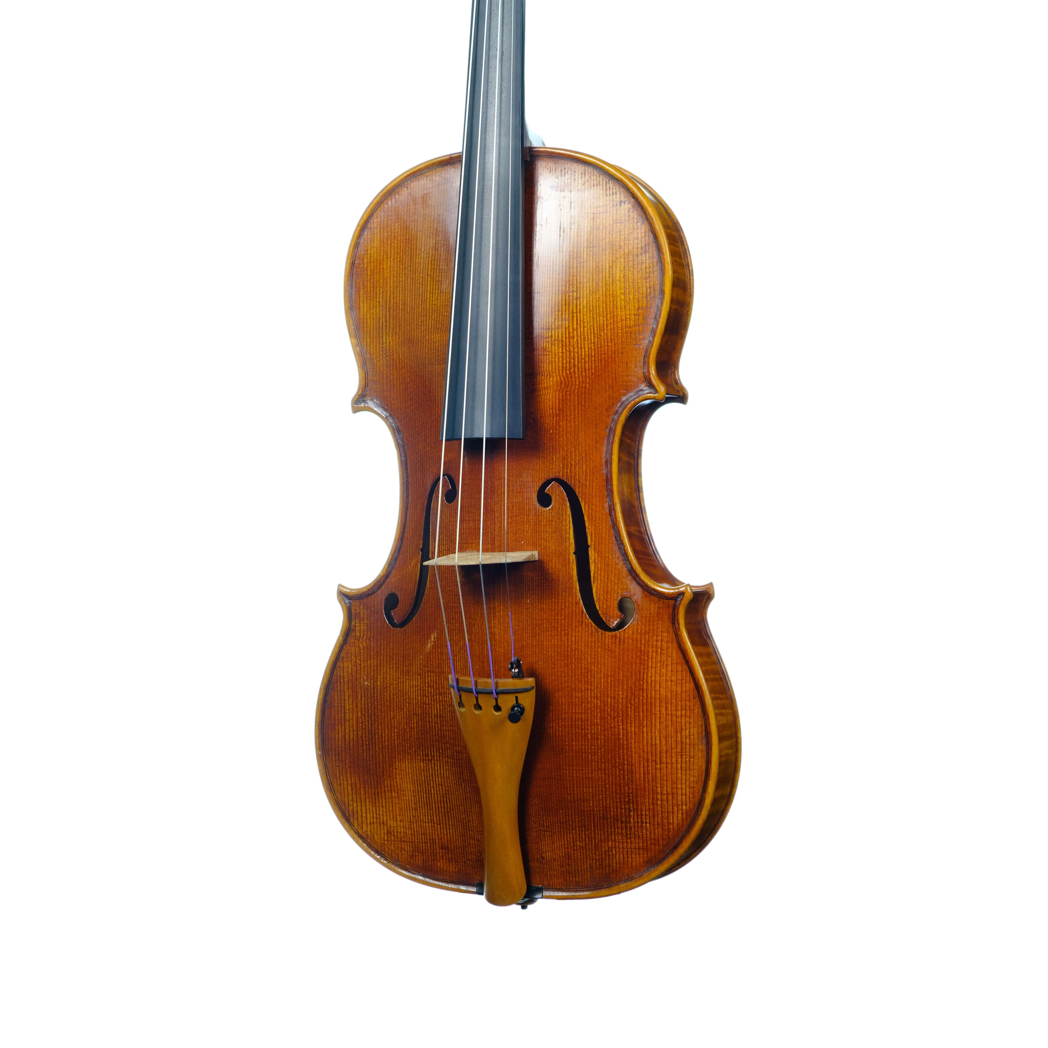 Violin - Linea Macchi, Guarneri "Lord Wilton" 2025