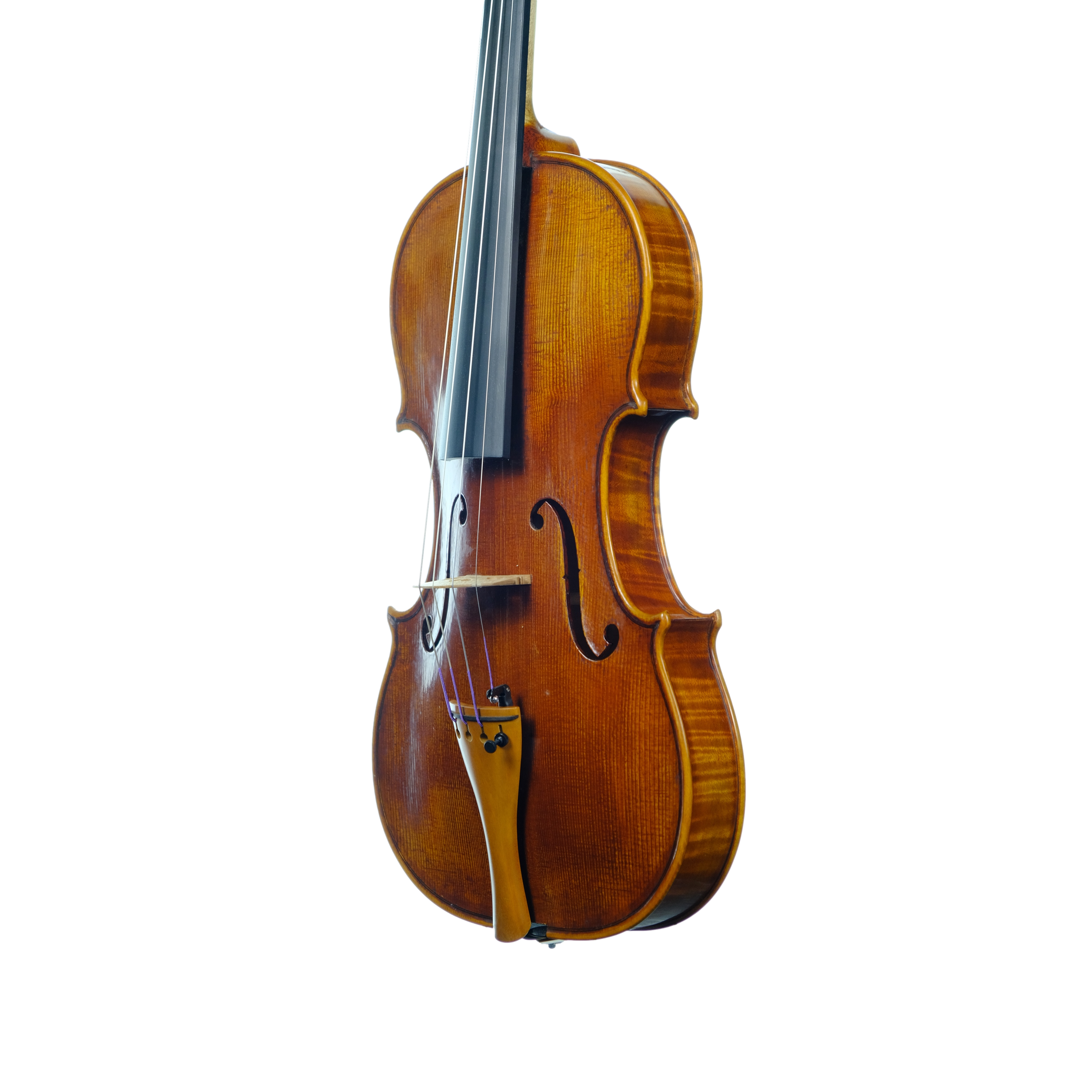 Violin - Linea Macchi, Guarneri "Lord Wilton" 2025