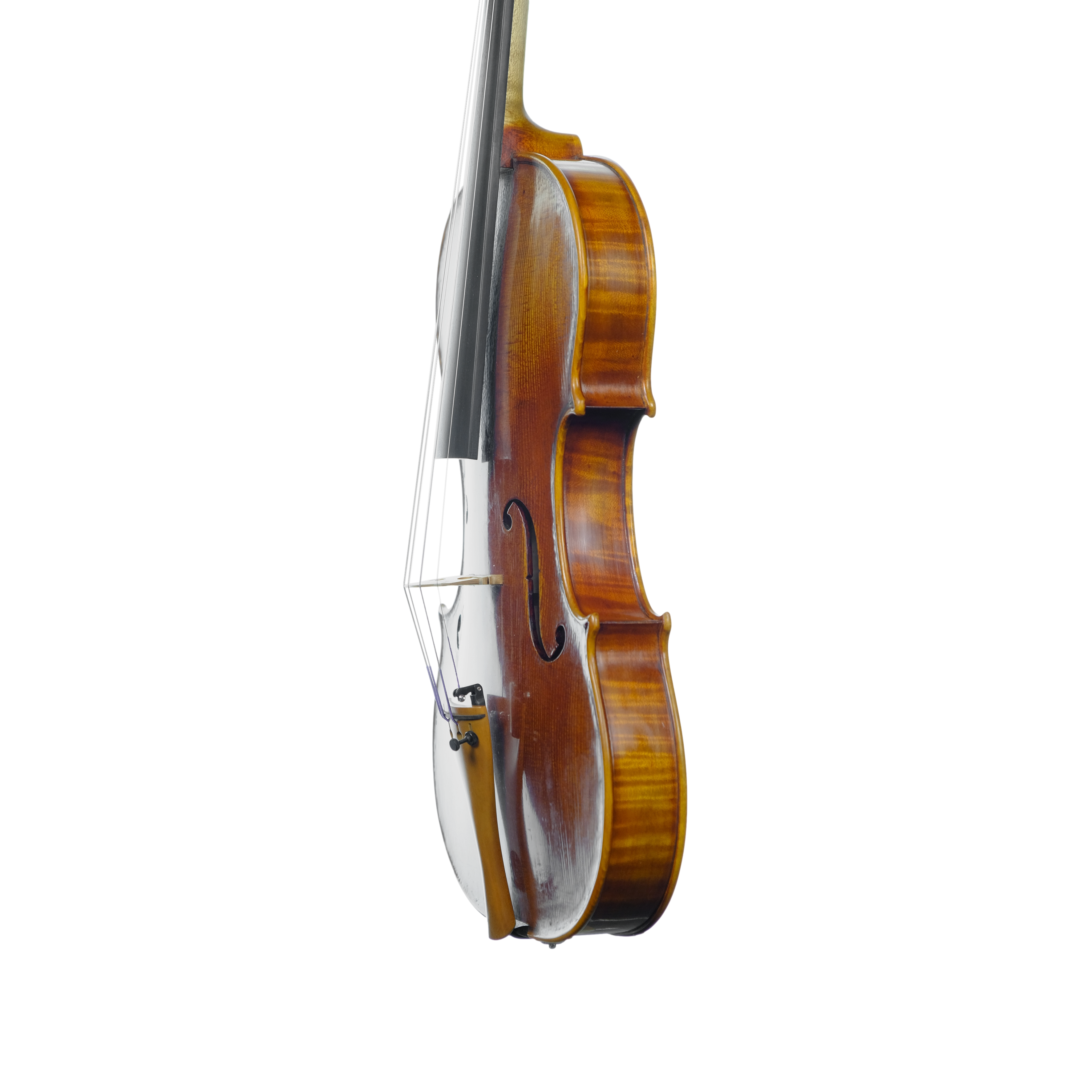 Violin - Linea Macchi, Guarneri "Lord Wilton" 2025