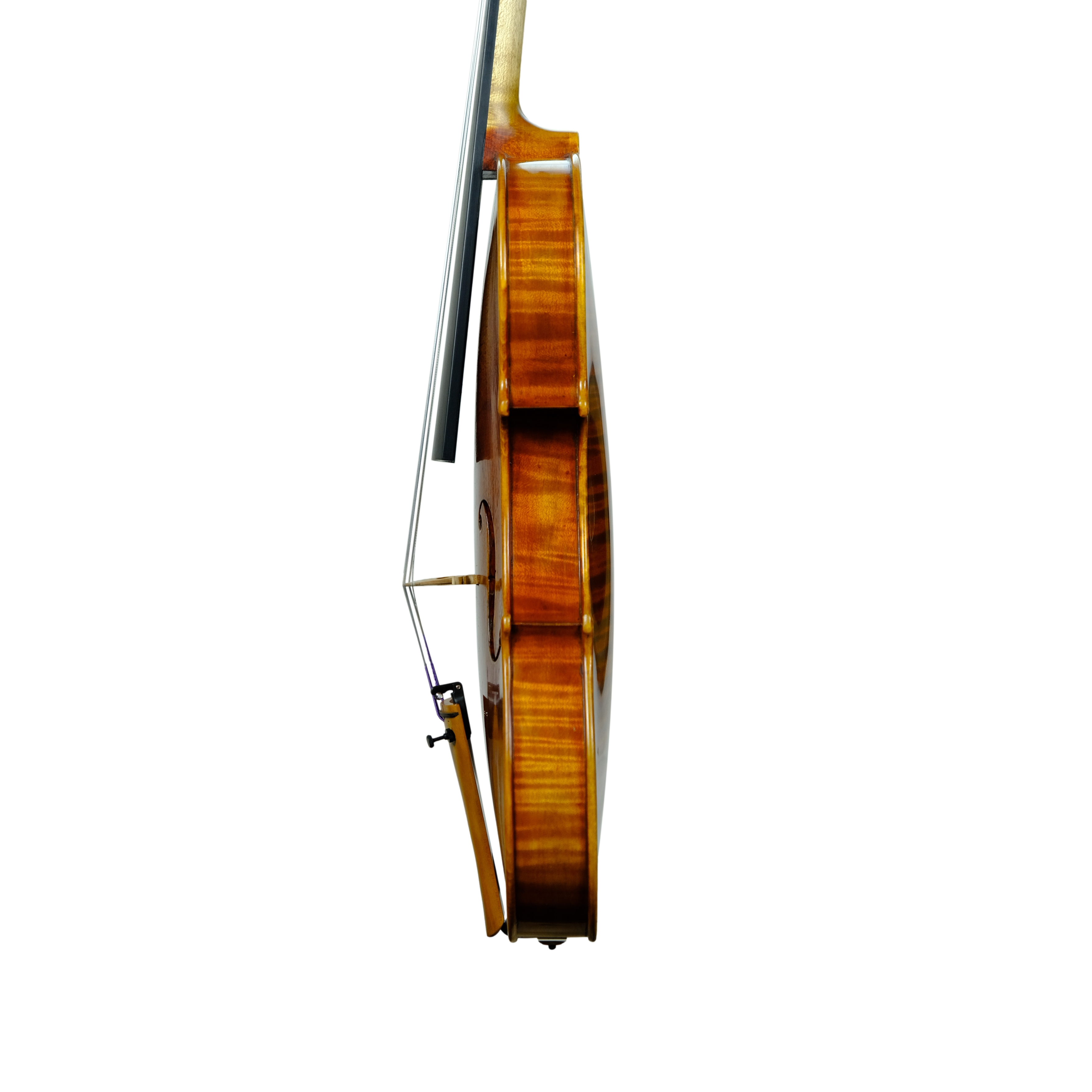 Violin - Linea Macchi, Guarneri "Lord Wilton" 2025