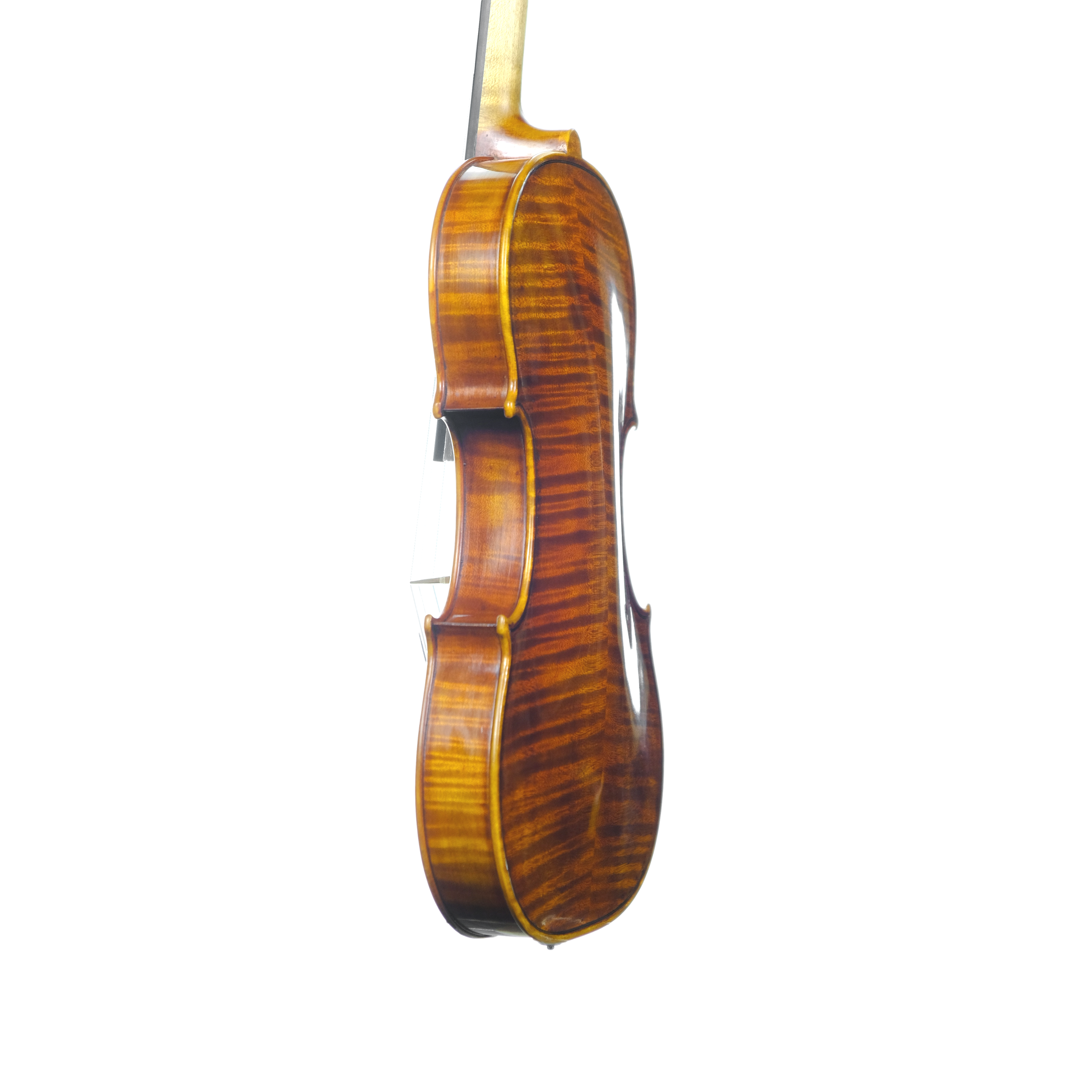 Violin - Linea Macchi, Guarneri "Lord Wilton" 2025